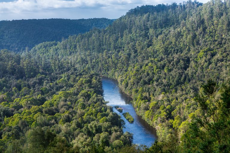 Incre Bles Destinos De La Selva Tropical En Todo El Mundo Ecverde