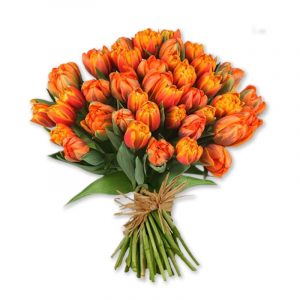 usos y significado del tulipan anaranjado