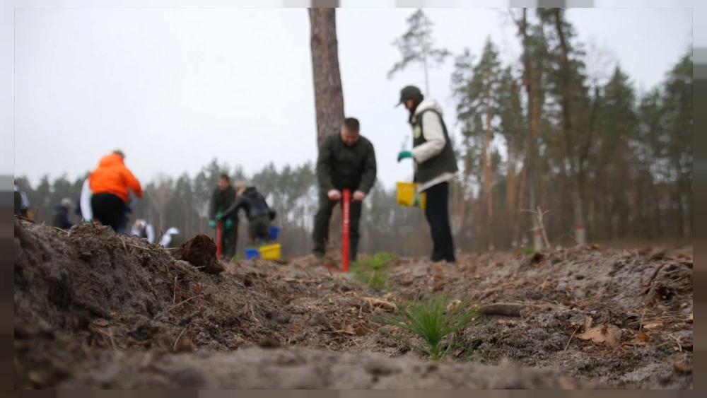 Ucrania promete plantar mil millones de árboles para combatir el cambio  climático - ECVerde
