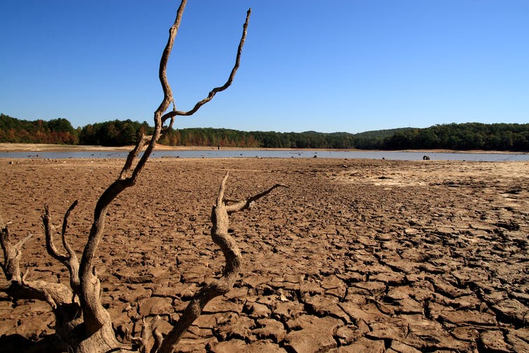 Tierra golpeada por la sequía