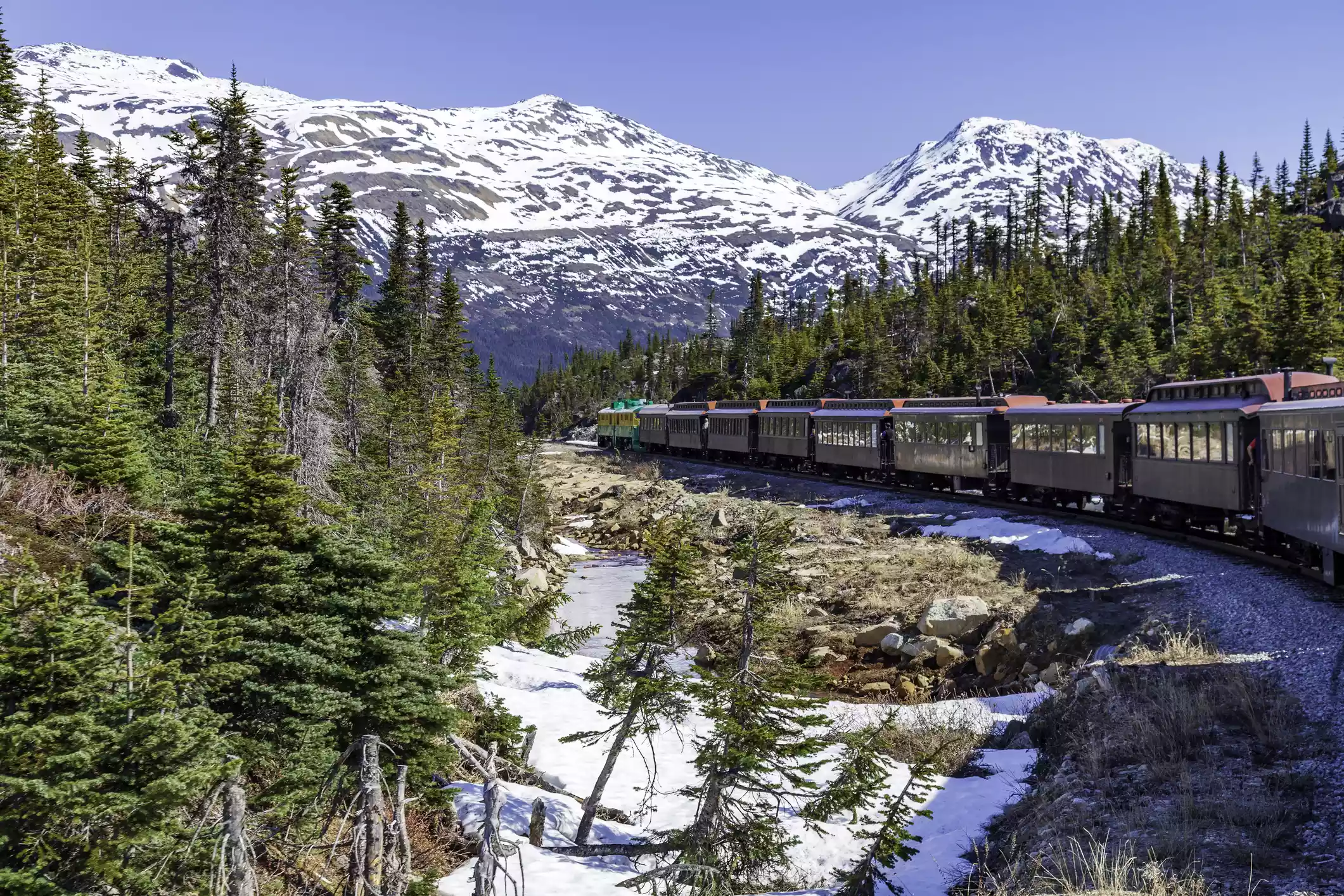A passenger train travels through a landscape of pine trees and snow-capped mountains