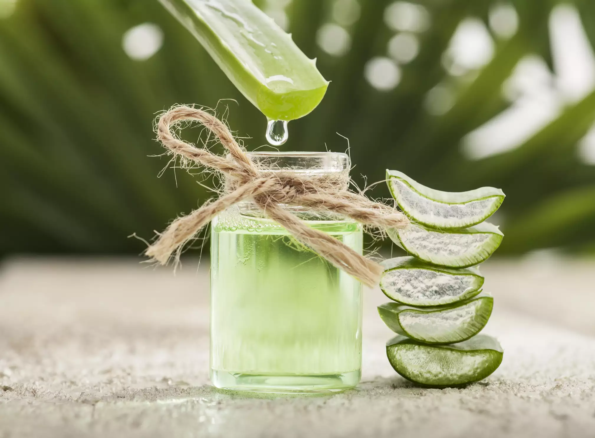 Aloe Vera leaves and juice with a tropical blurred background