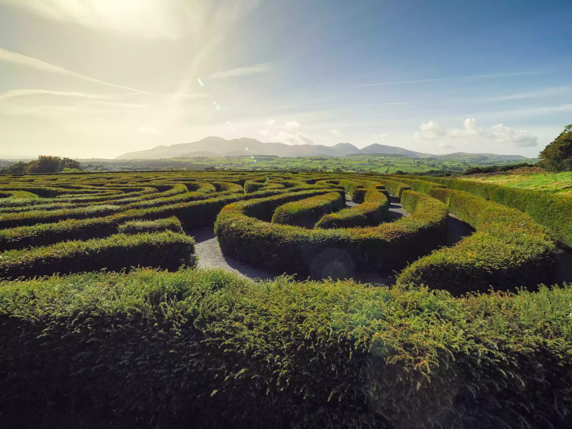 A hedge maze in front of a distant mountain range
