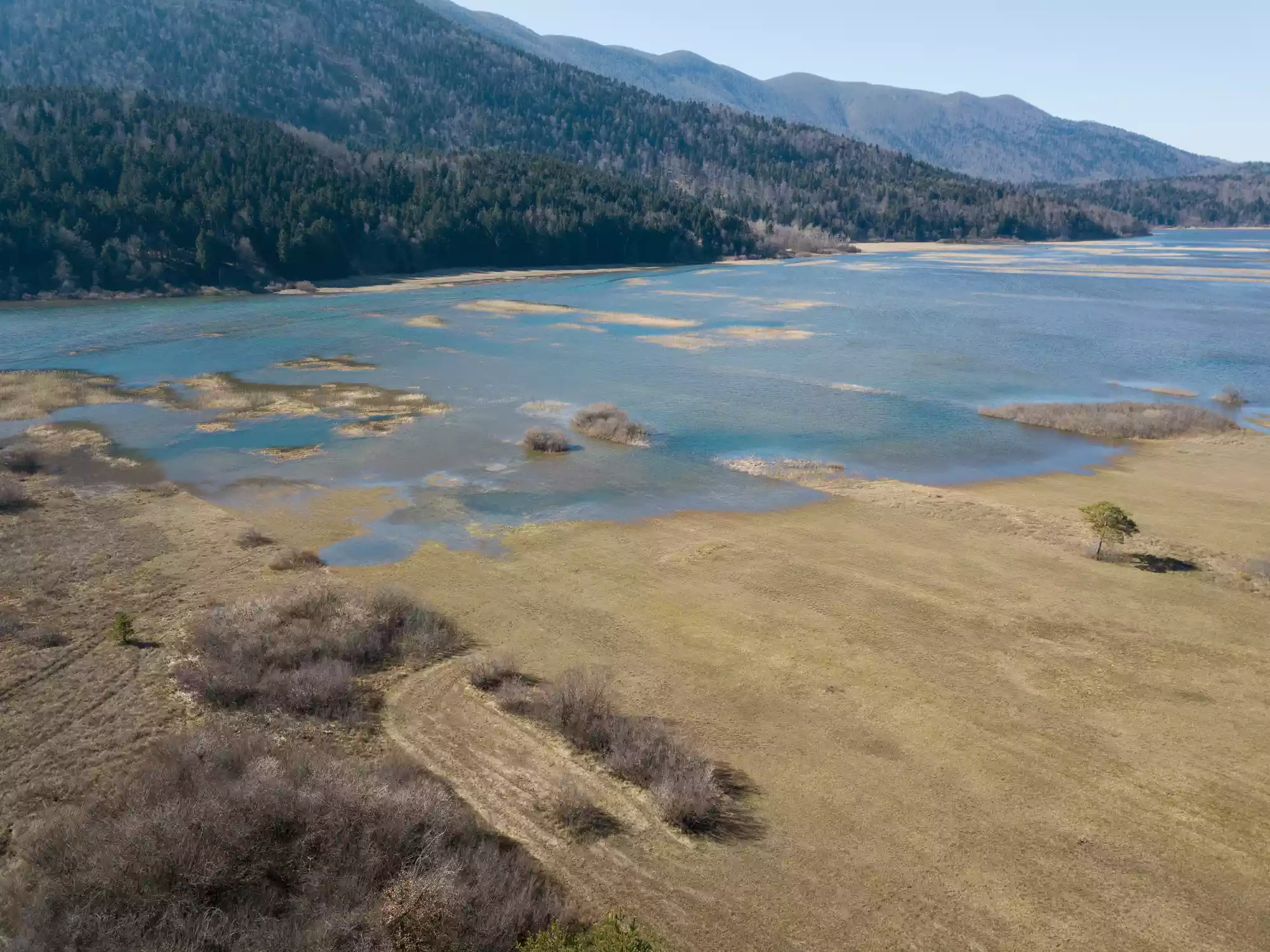 A receding lake reveals grasslands beneath the water