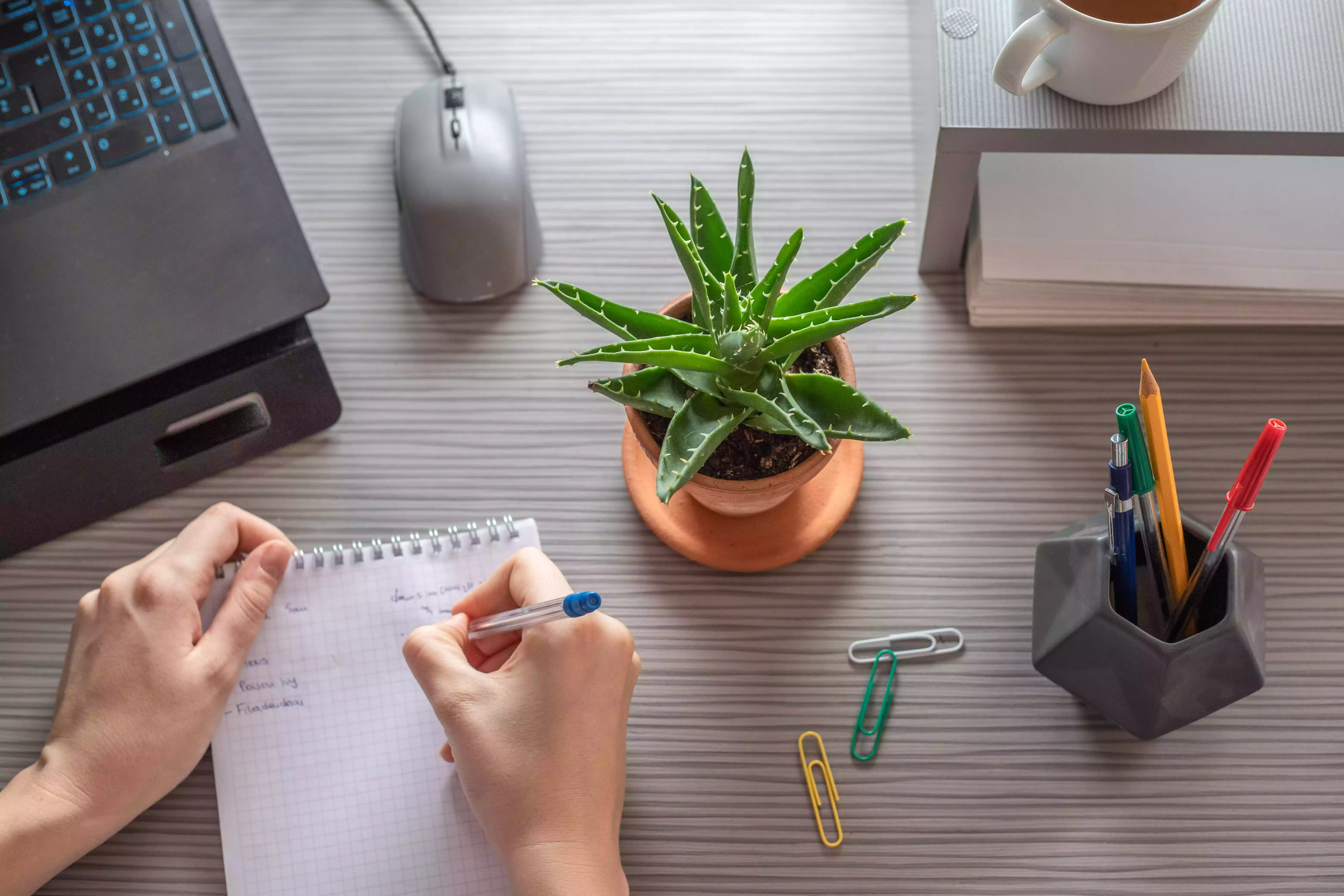 overhead shot of person writing on work desk with mini aloe vera plant near computer