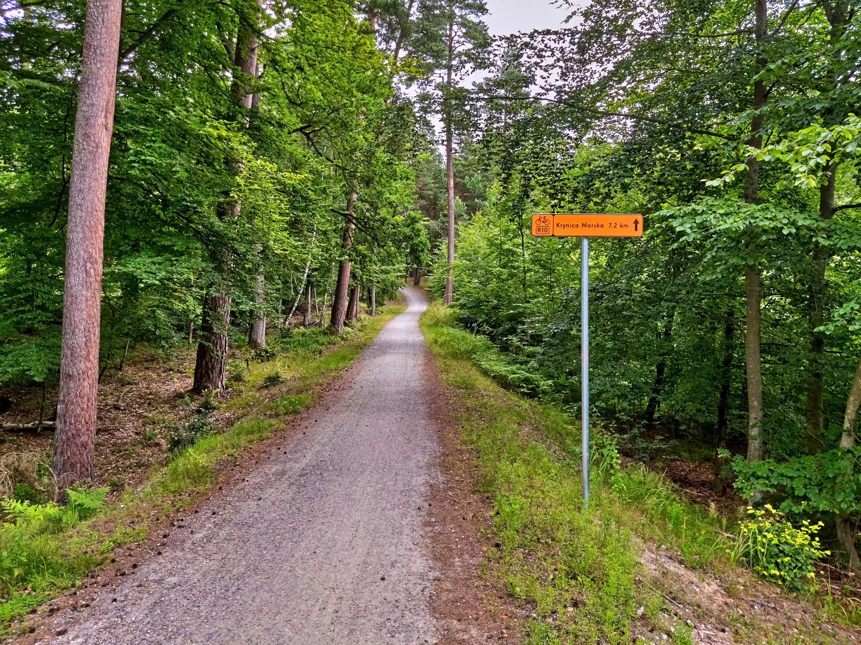 A yellow road sign above a gravel pathway in a forest