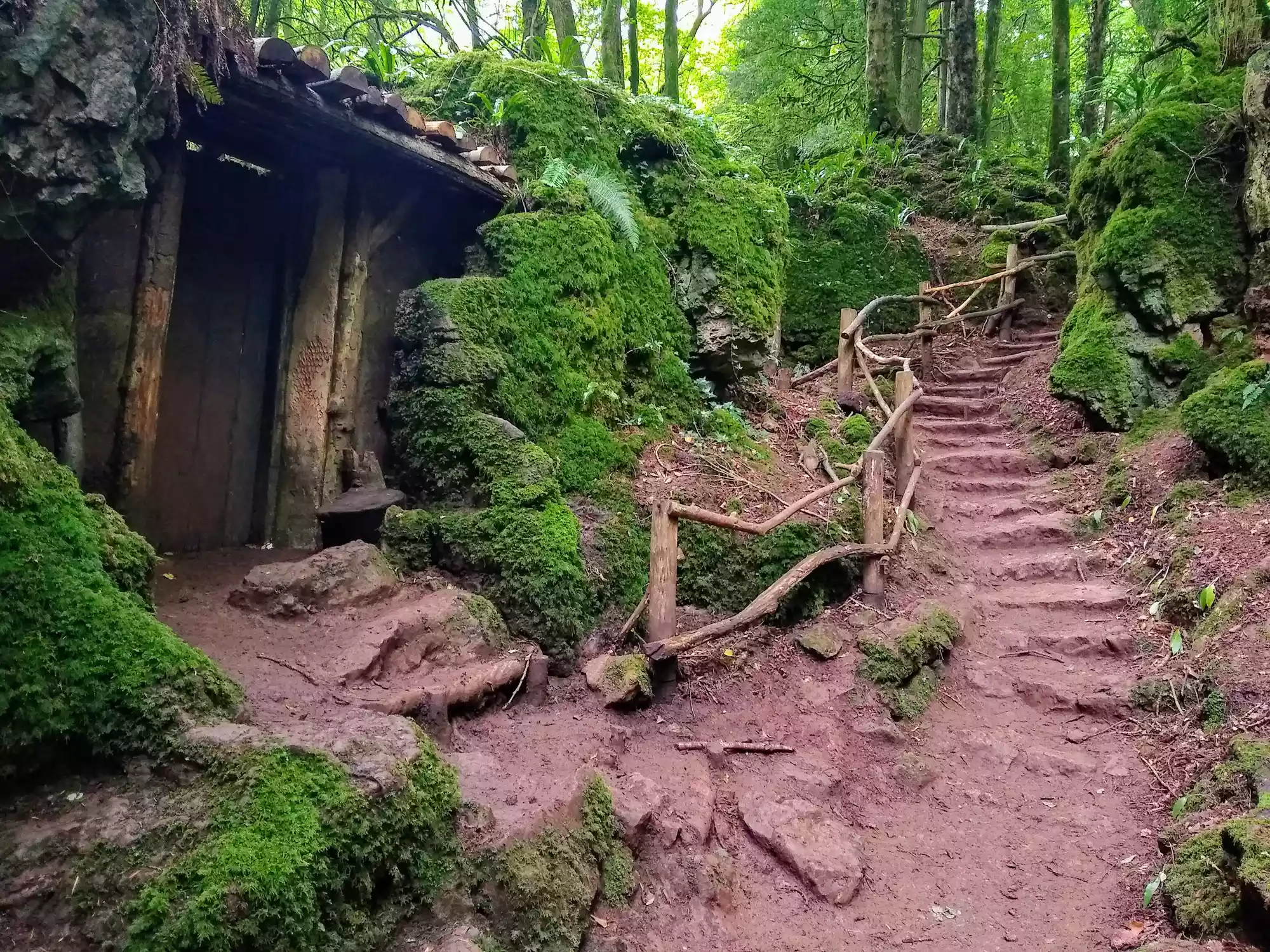 A wooden shack and stone staircase in a green forest 