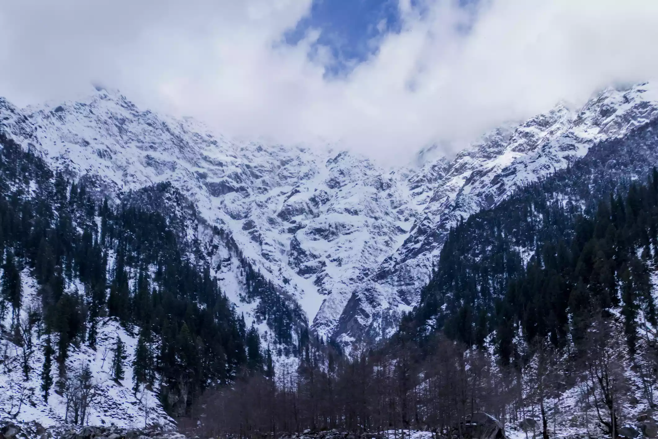 Snow-covered mountain peaks in Solang Valley, India, with tall trees in foreground and blue sky and white clouds in background