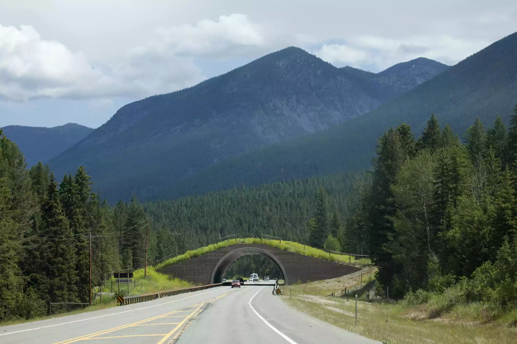 Montana Highway 93 wildlife bridge on Salish-Kootenai Reservation