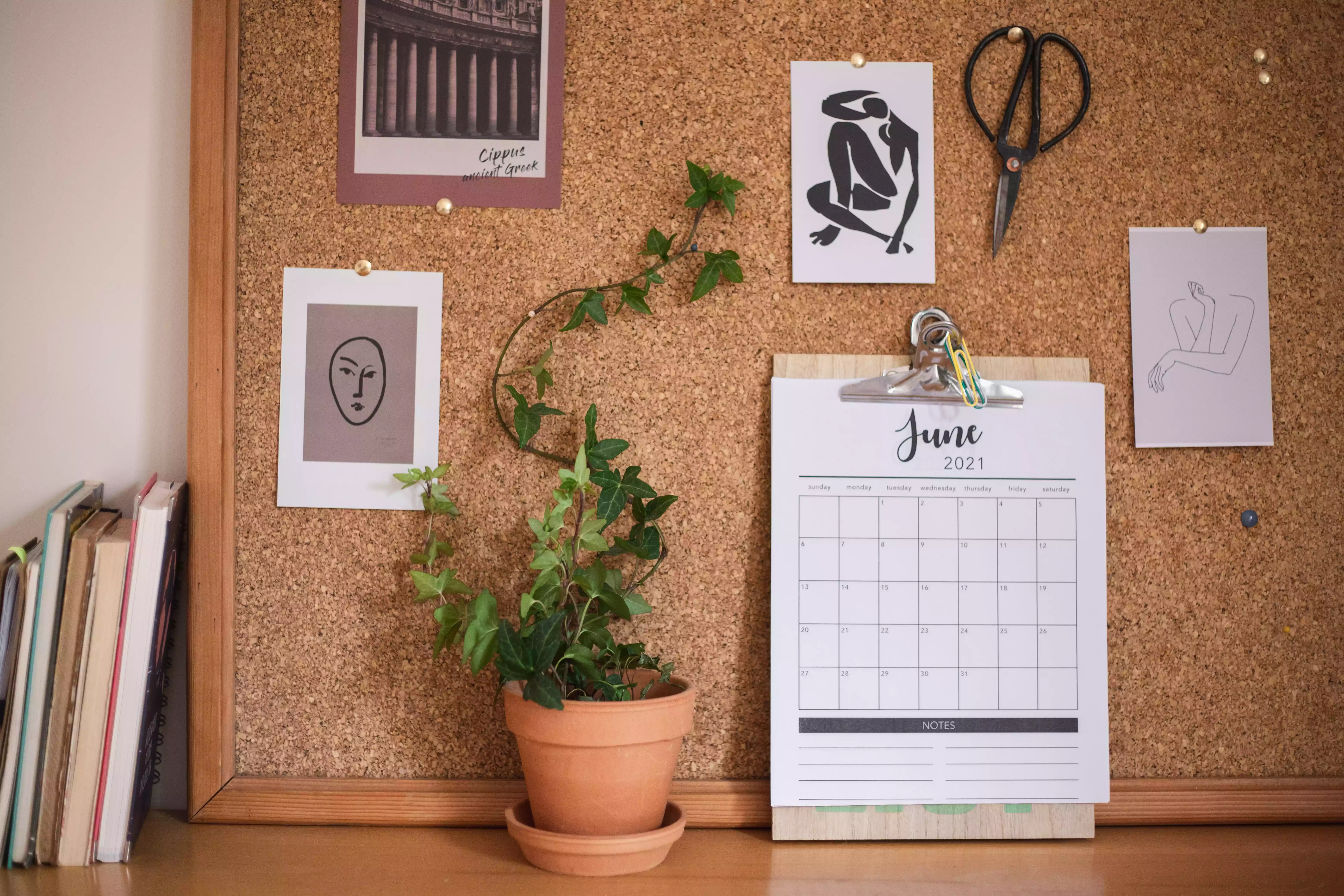 ivy houseplant trained to climb up a cork board pinned with various art