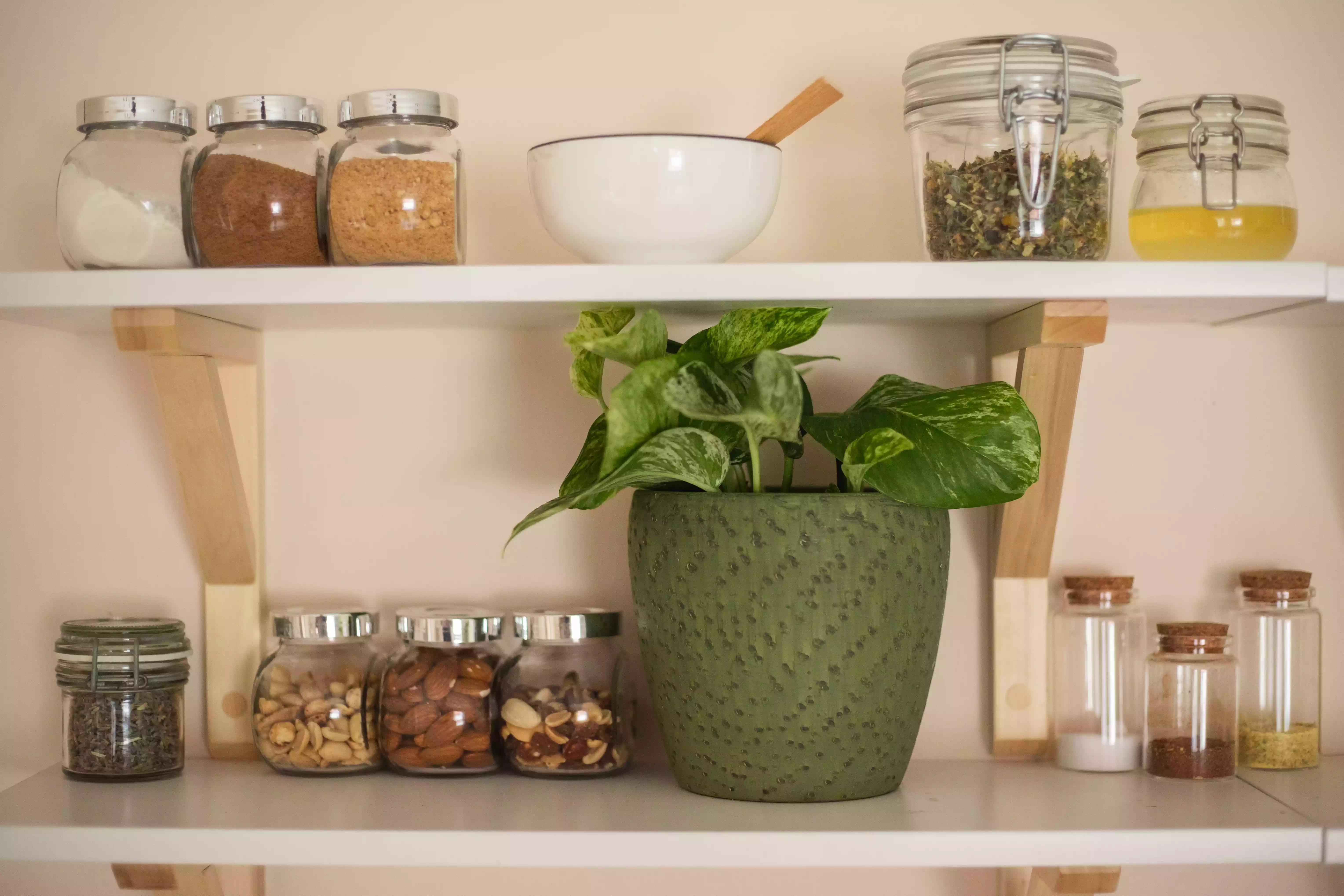 floating shelves filled with dry goods in glass jars and a green potted houseplant