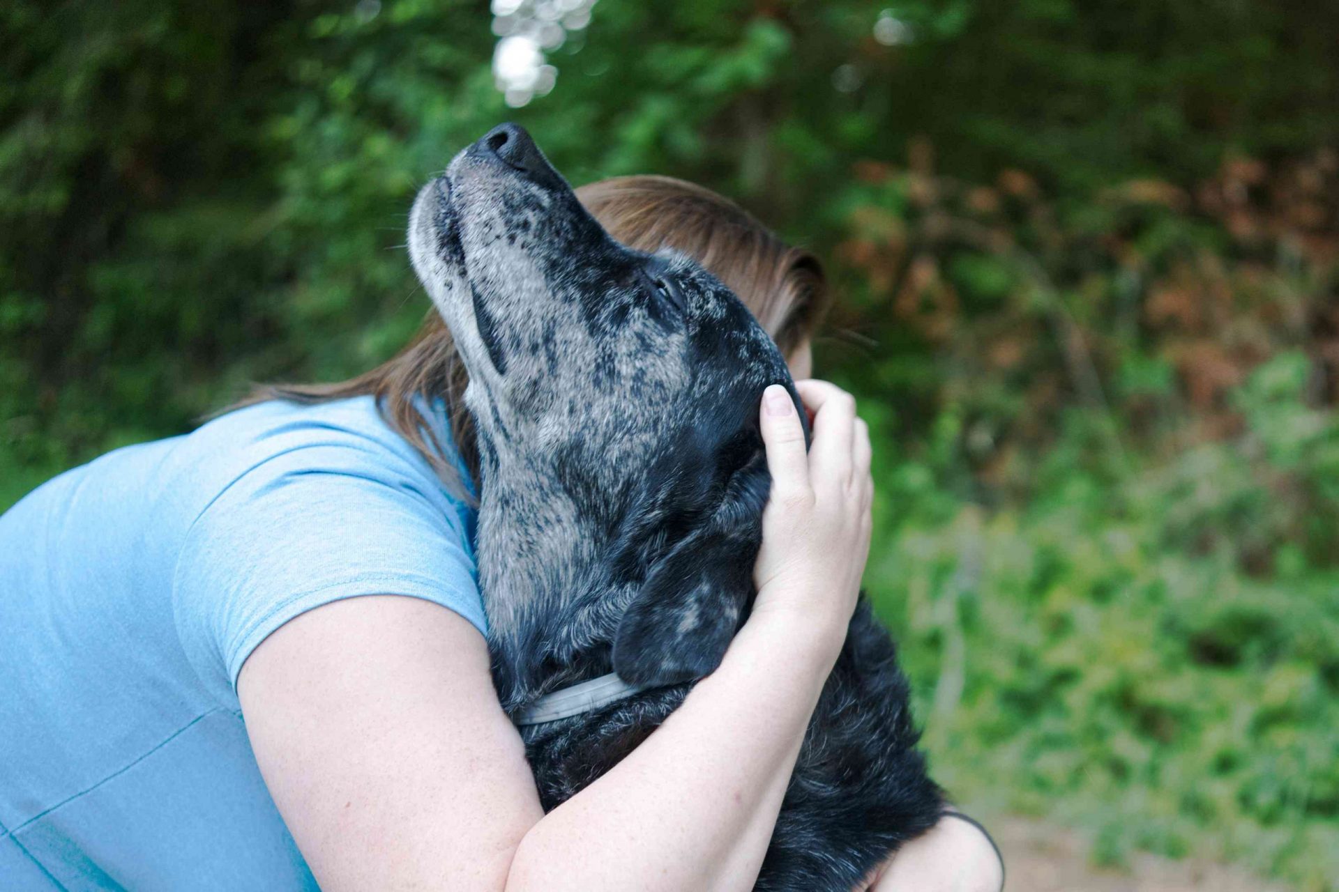 mujer con camisa azul abraza a un perro negro mayor al aire libre mientras el perro cierra los ojos