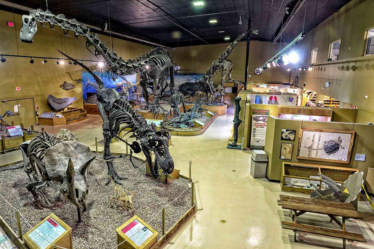 Exposiciones de fósiles dentro del Centro de Dinosaurios de Wyoming