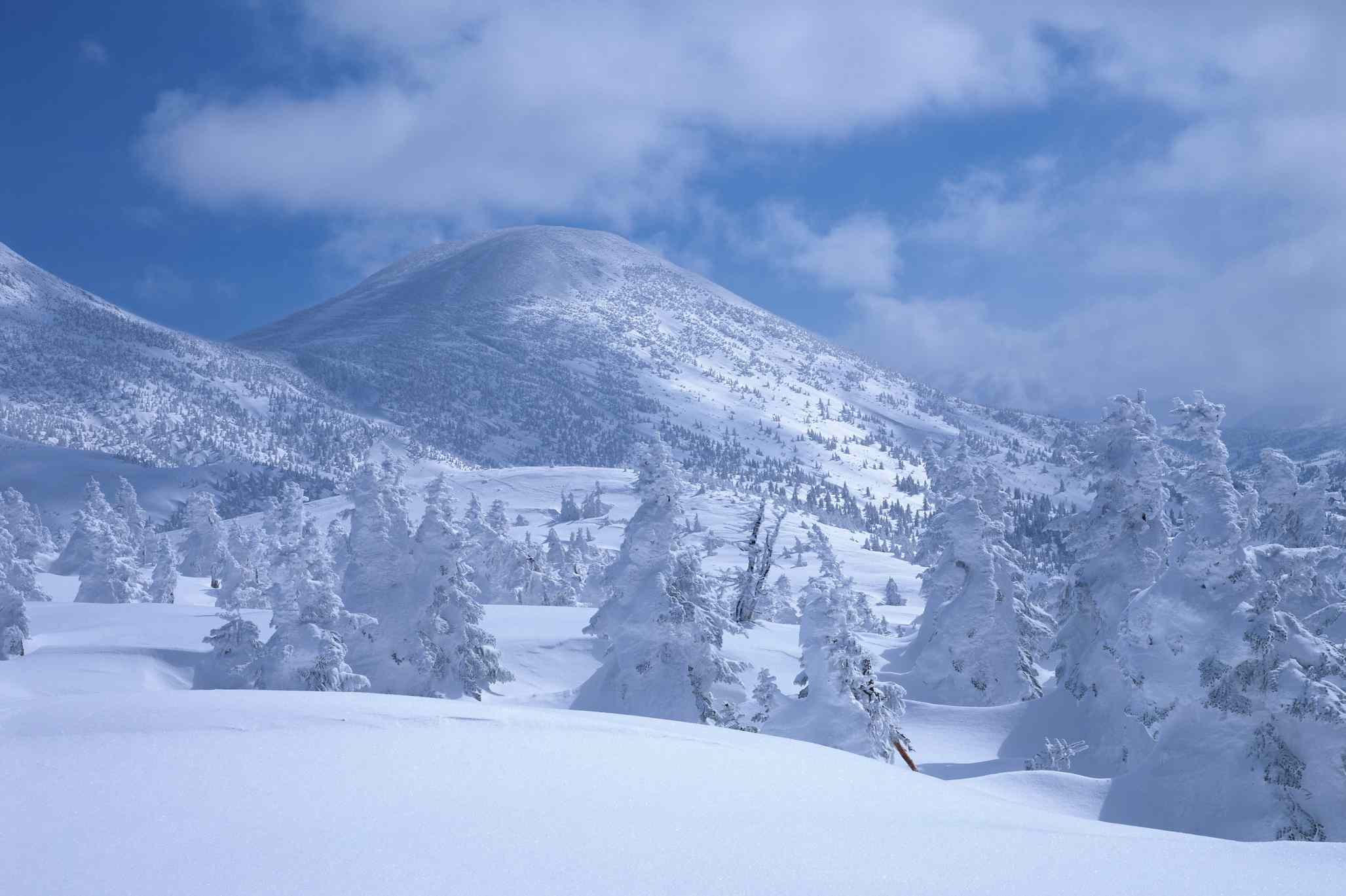Monte Hakkoda nevado y bosque en la ciudad de Aomori