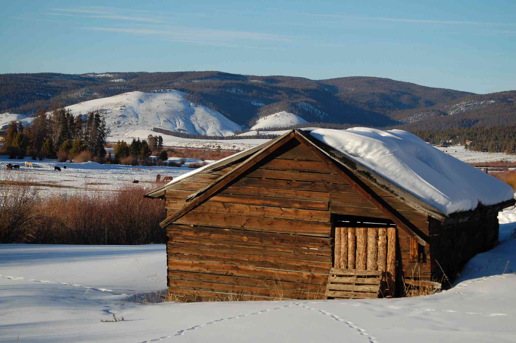 Cabaña cubierta de nieve en Fraser, Colorado