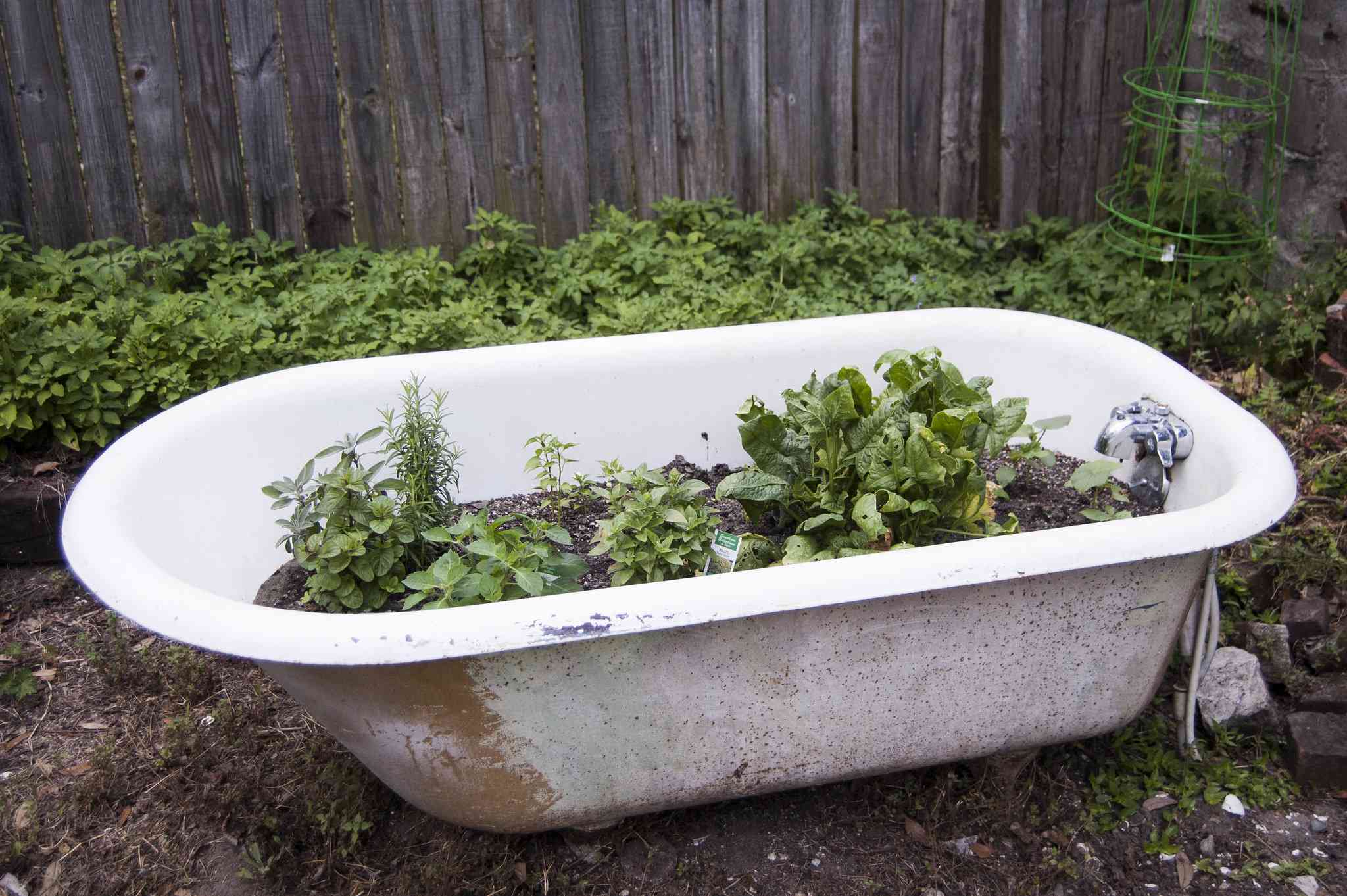 Una bañera reutilizada para un jardín en macetas