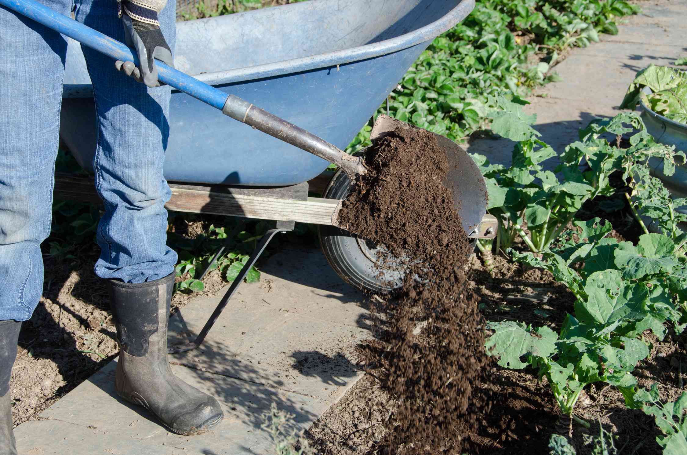 jardinero con pala y carretilla añade compost al lecho del jardín