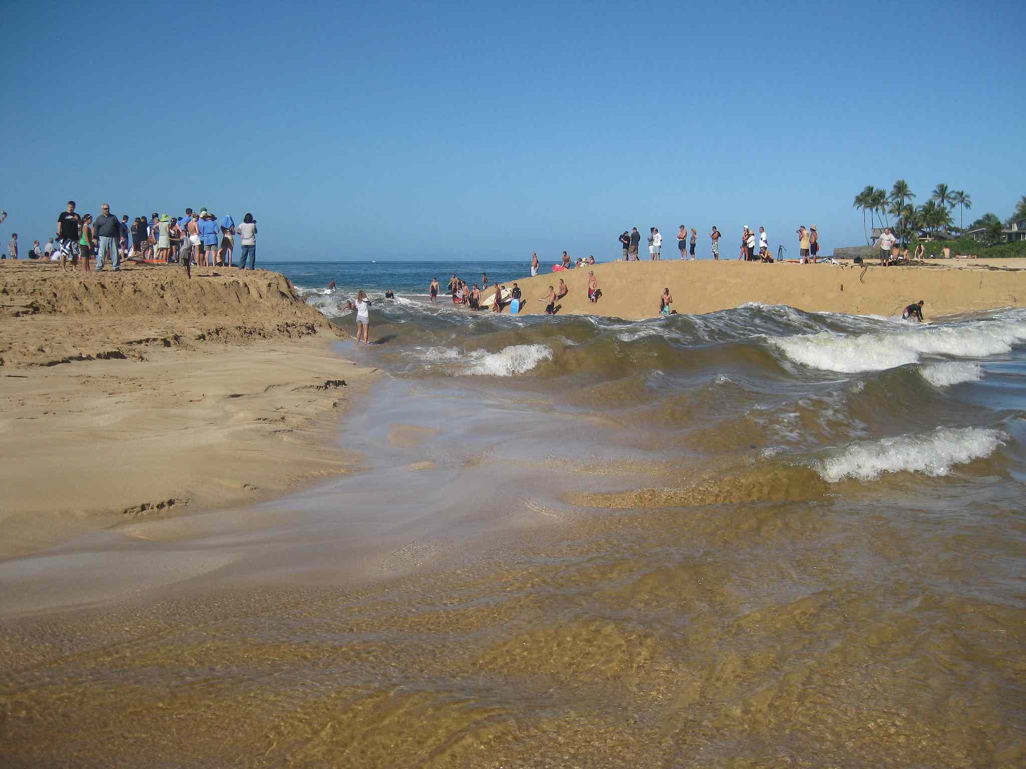Olas rompiendo en la desembocadura del río Waimea con dunas de arena a ambos lados de las olas repletas de observadores que observan a unos cuantos surfistas en el agua bajo un brillante cielo azul