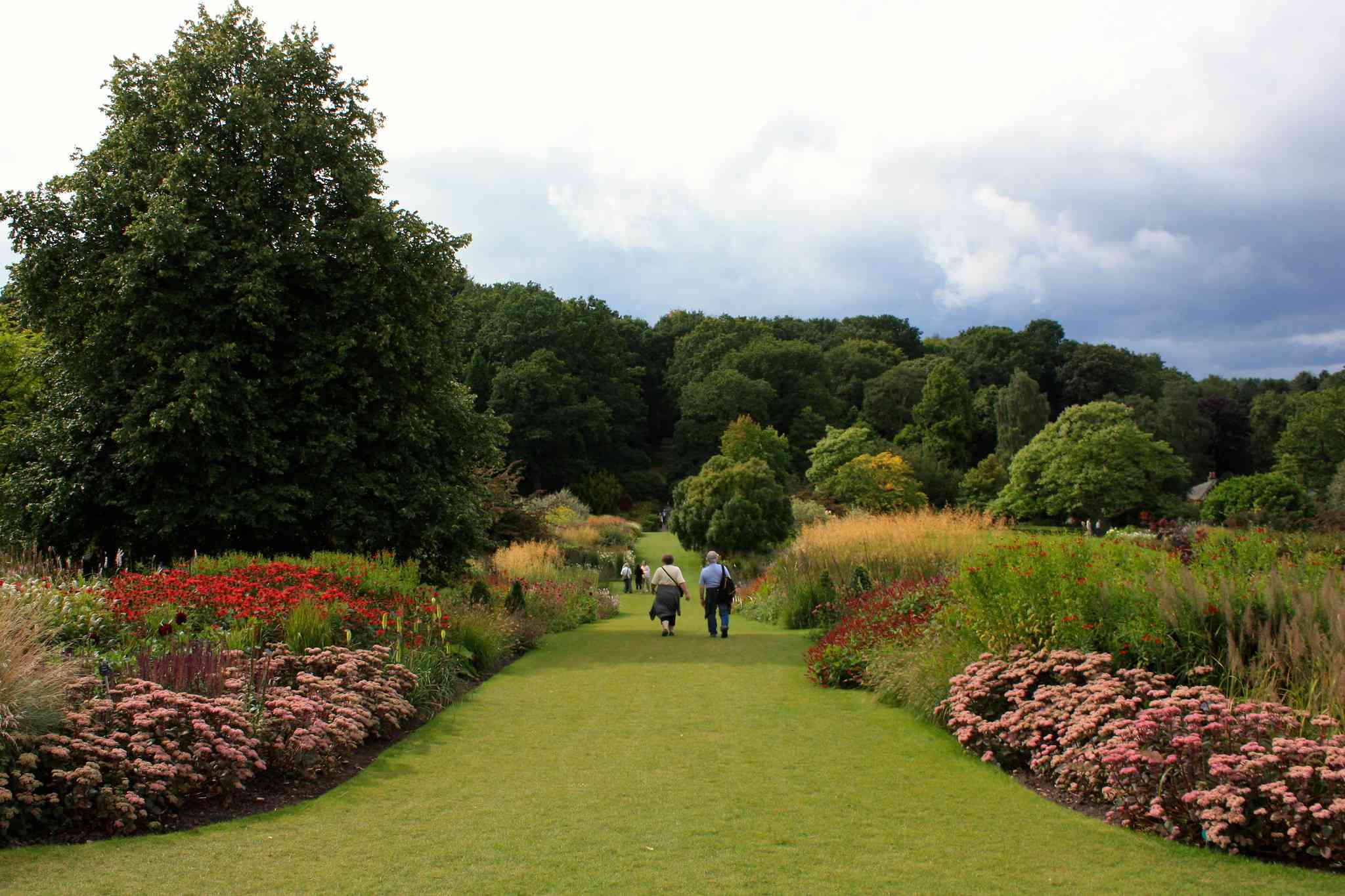 dos personas caminando por un largo y ancho jardín de césped verde flanqueado a ambos lados por flores rosas y rojas en Harlow Carr