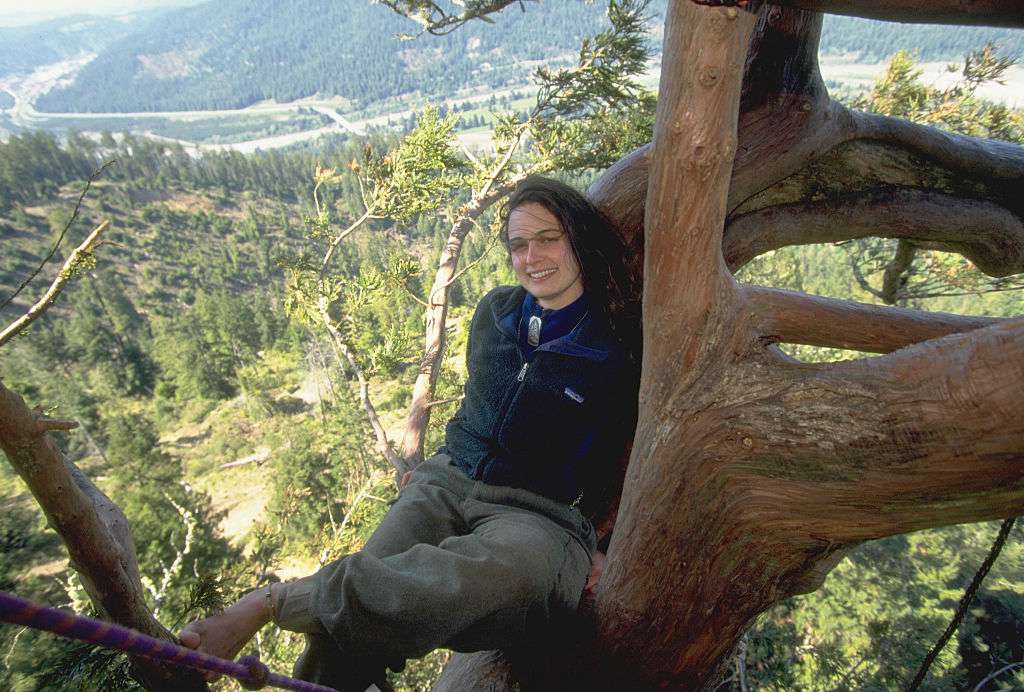 Julia Hill sentada en un árbol de California