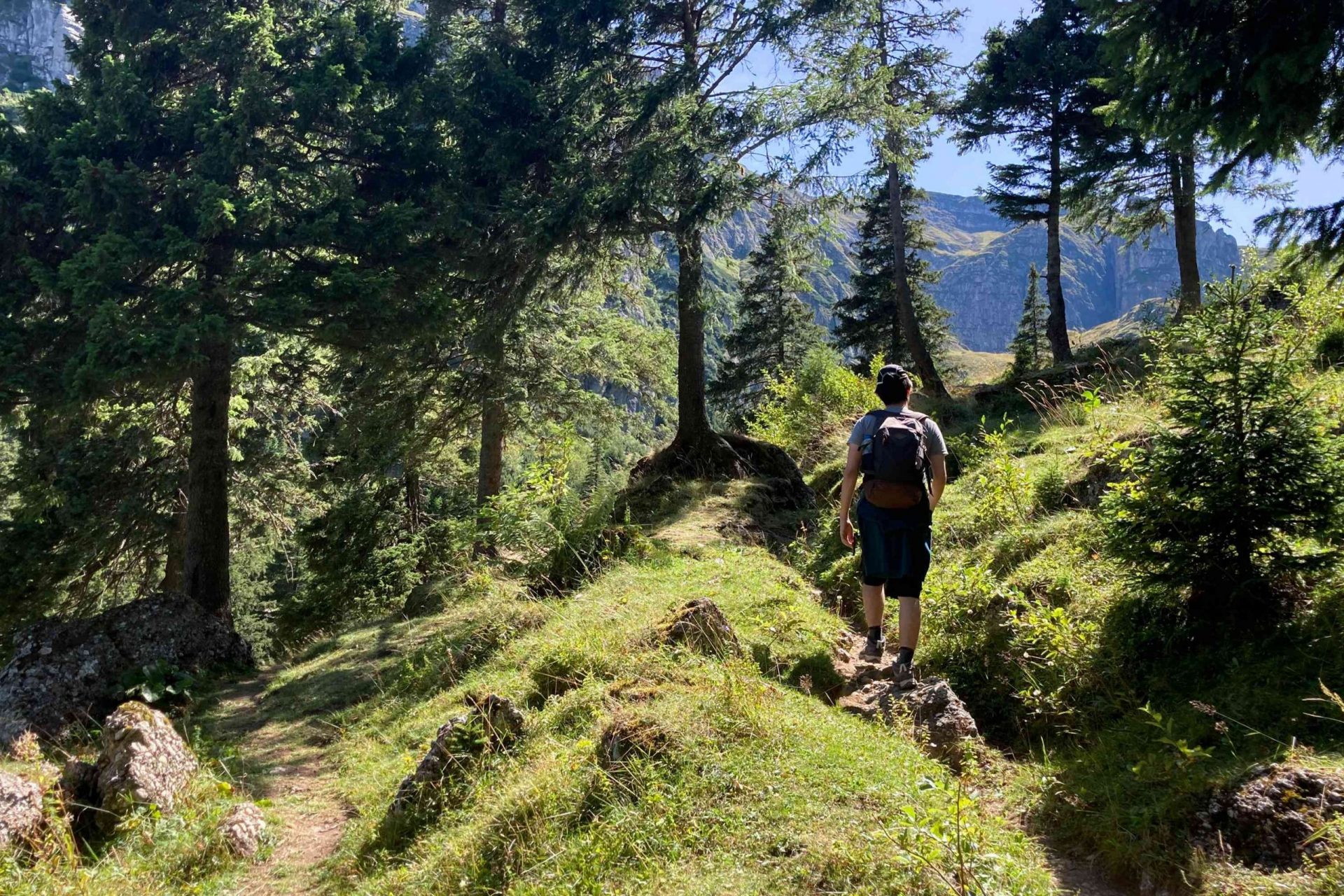una persona camina por una cornisa rocosa en medio de un bosque montañoso