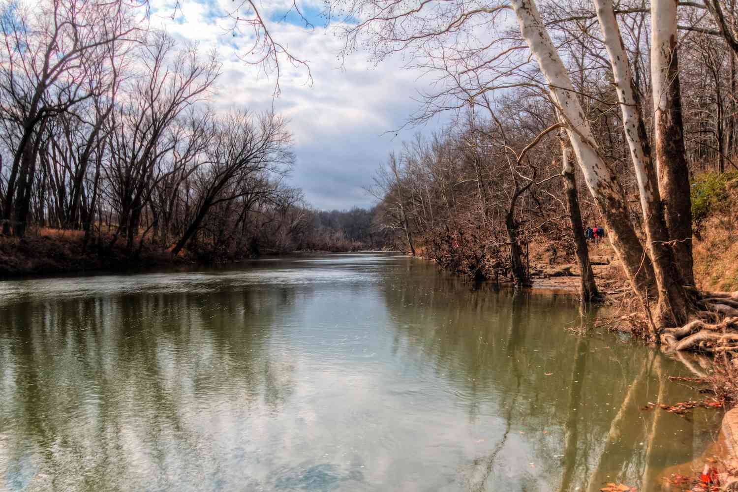 El río Duck de Tennessee en un día nublado de invierno