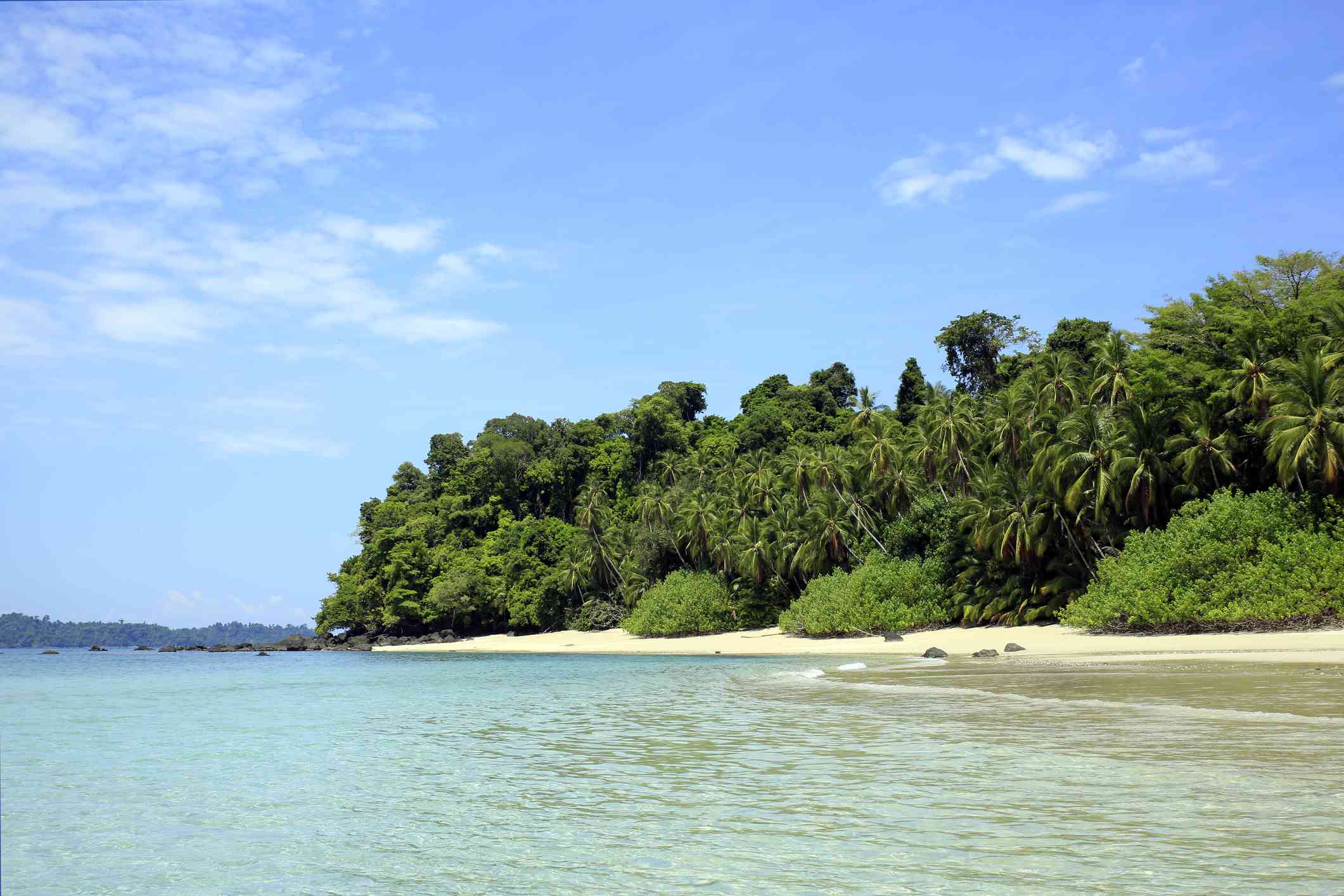 Playa de la isla de Coiba con frondosos árboles verdes, arena y agua azul claro