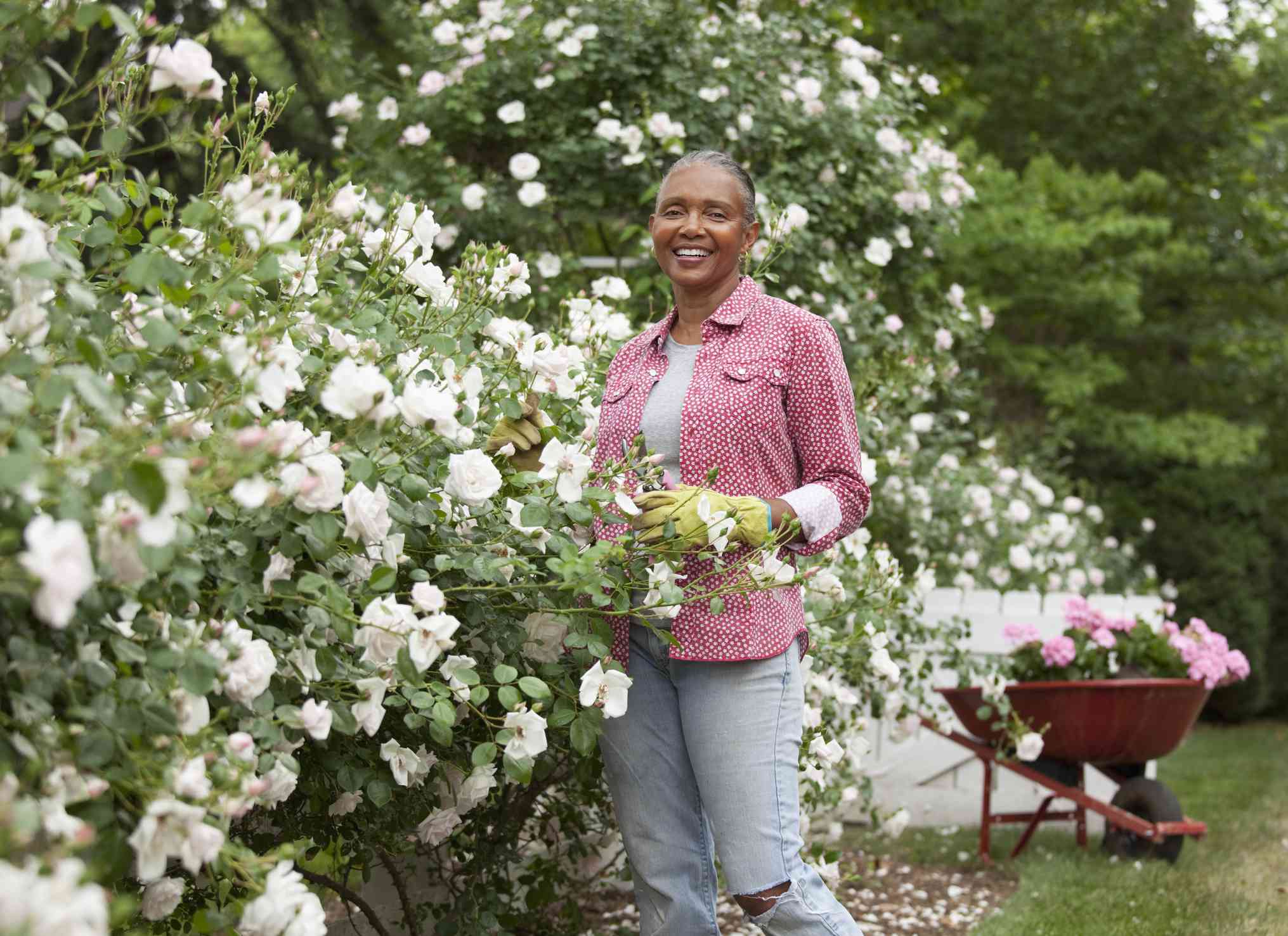Una mujer negra de edad avanzada entre un rosal