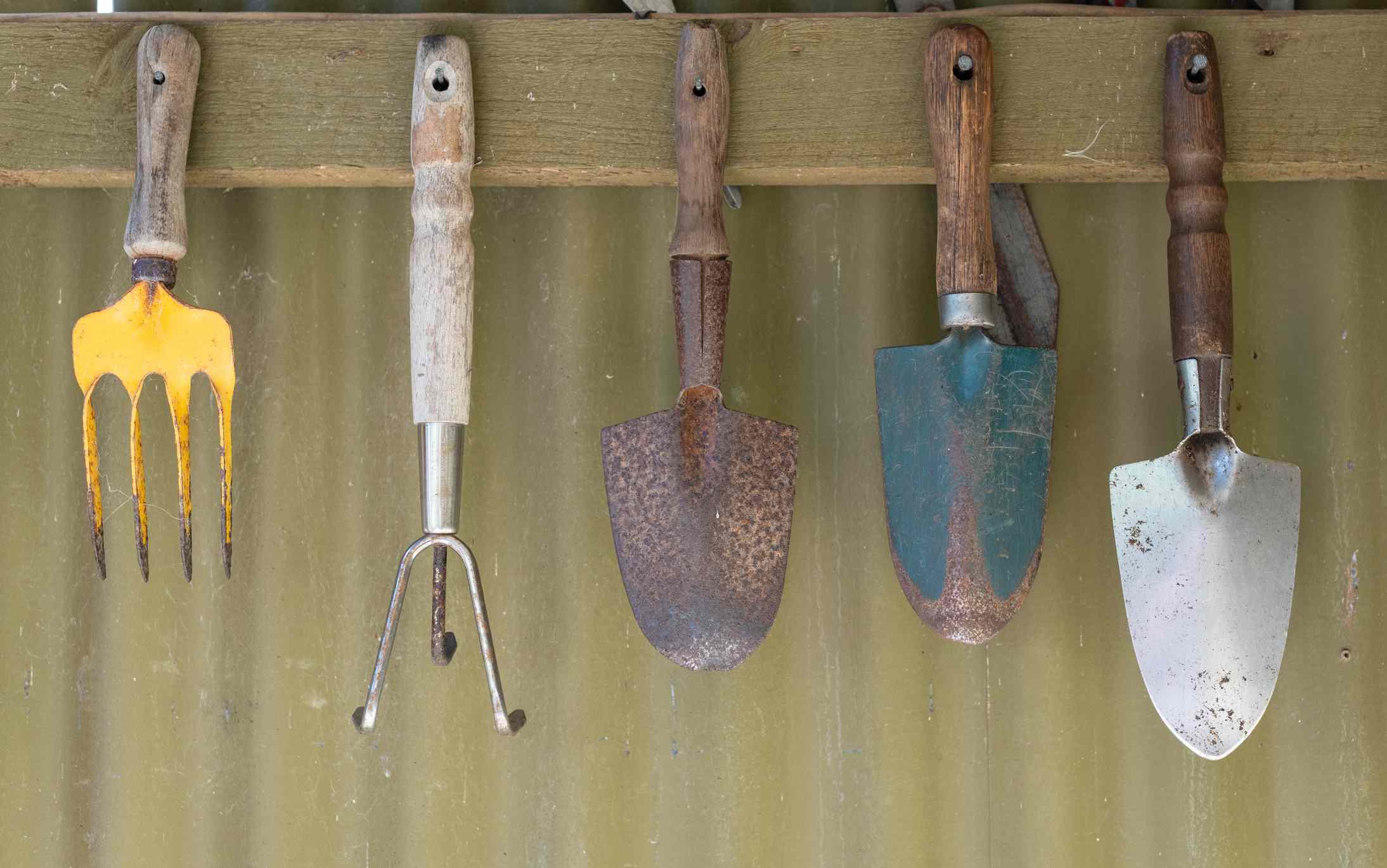 Herramientas de jardinería colgadas en la madera de un cobertizo