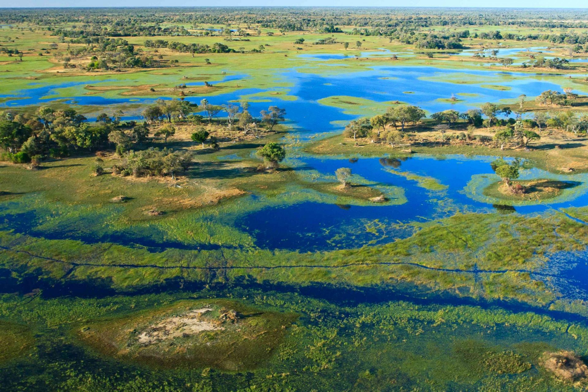 Vista aérea del Delta del Okavango, una integración de canales de color azul intenso, isla cubierta de árboles y pantanos