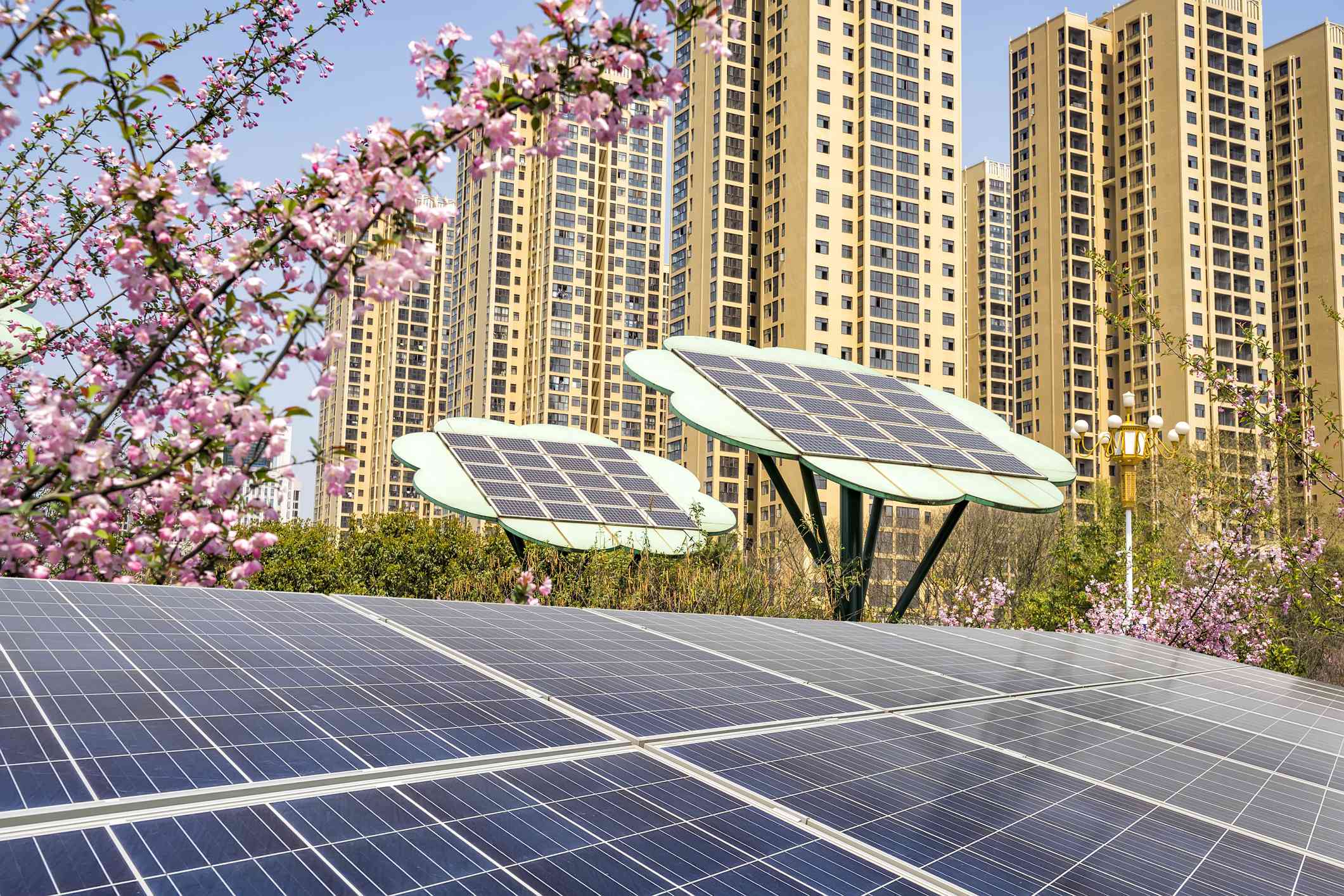 Paneles solares en la azotea con árboles solares en forma de flor, flores rosas y altos edificios de fondo