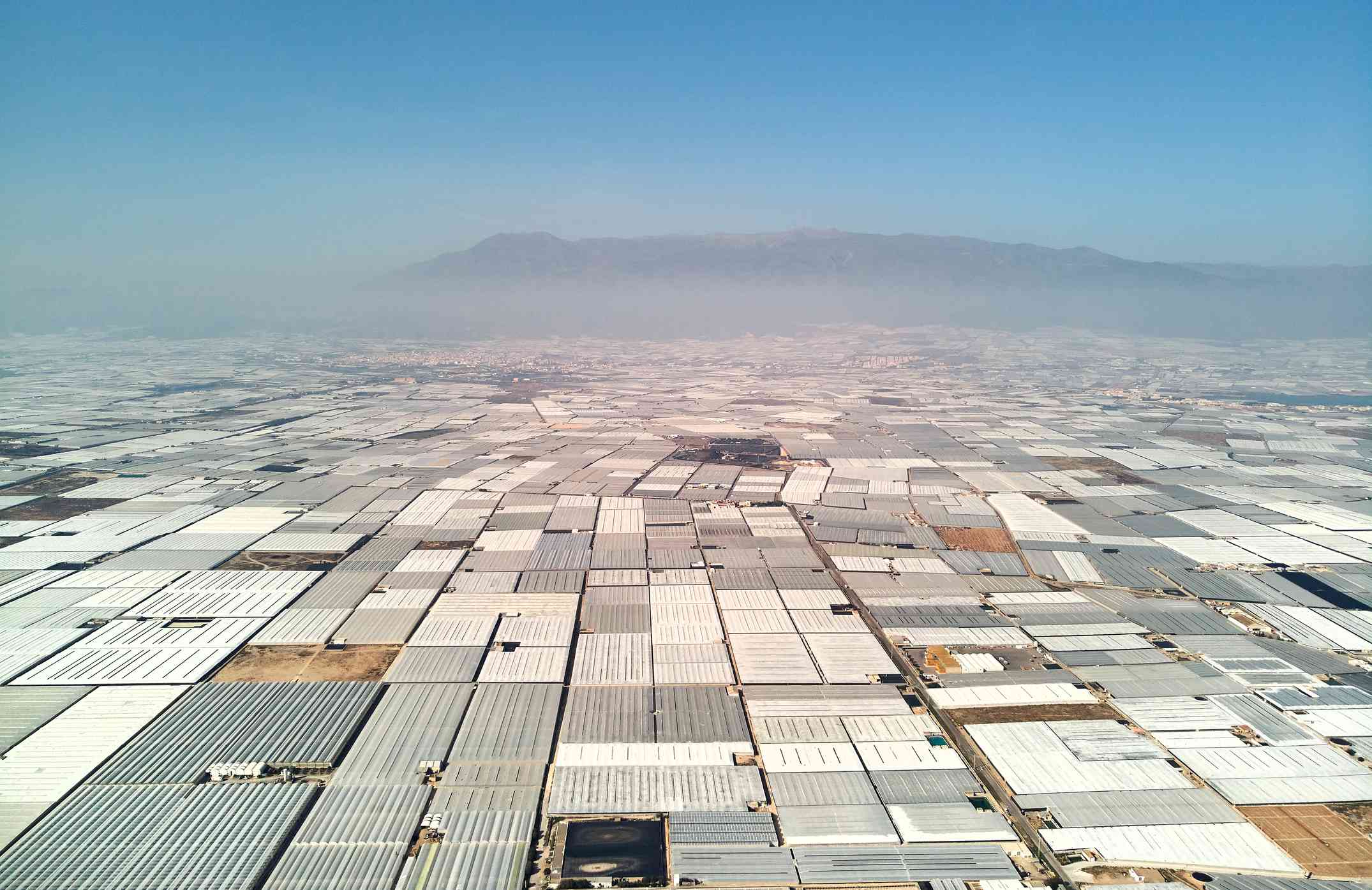Una gran extensión de invernaderos de plástico en Almería, España