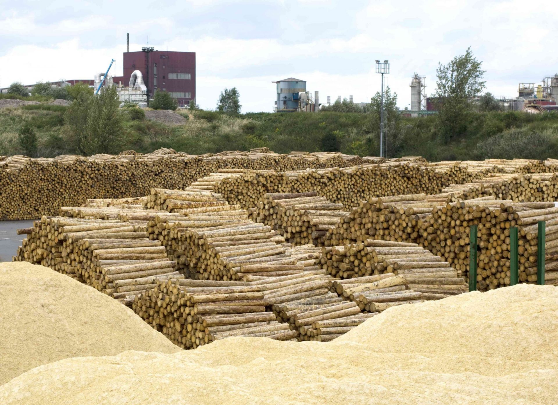 Una fábrica de pasta de papel con pilas de madera y pulpa