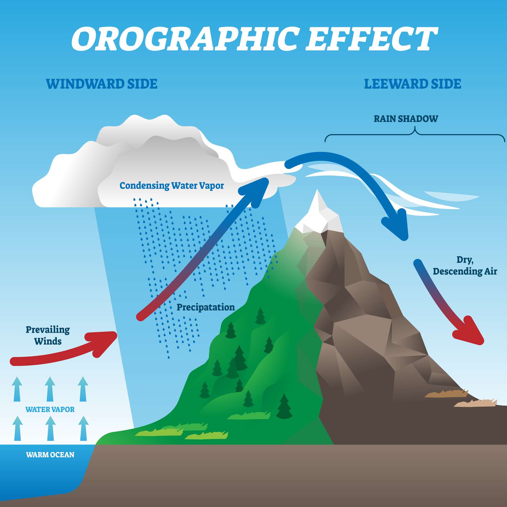 Una infografía que muestra cómo la elevación orográfica puede producir sombras de lluvia