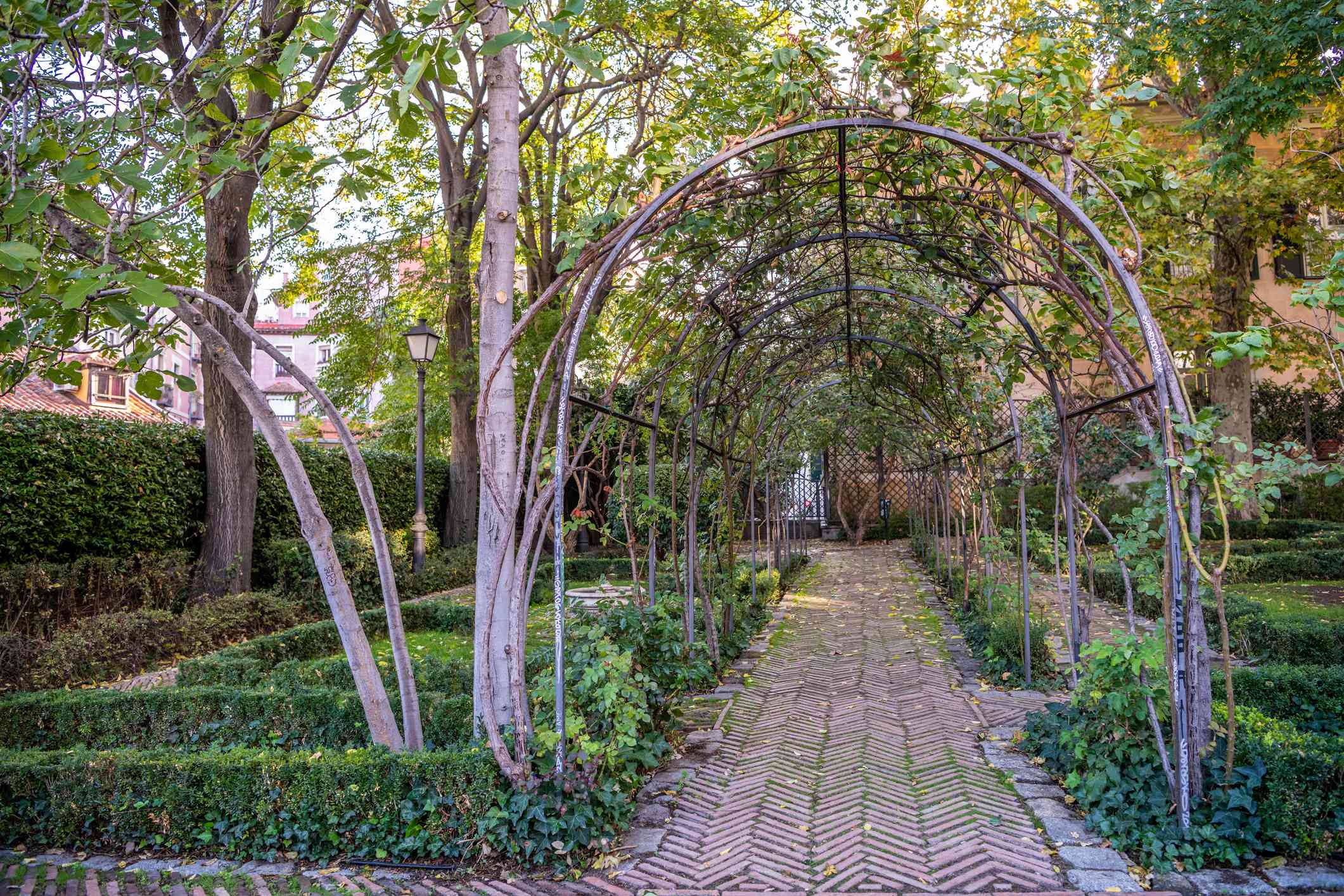 arco natural sobre un camino de ladrillos rodeado de árboles altos y setos bajos y verdes en el Jardín del Príncipe de Anglona
