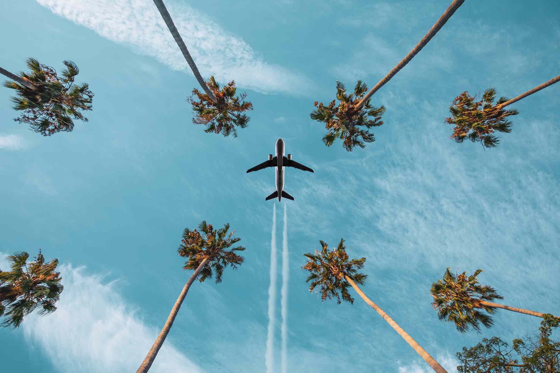 Avión volando por encima de las palmeras, dejando estelas de vapor