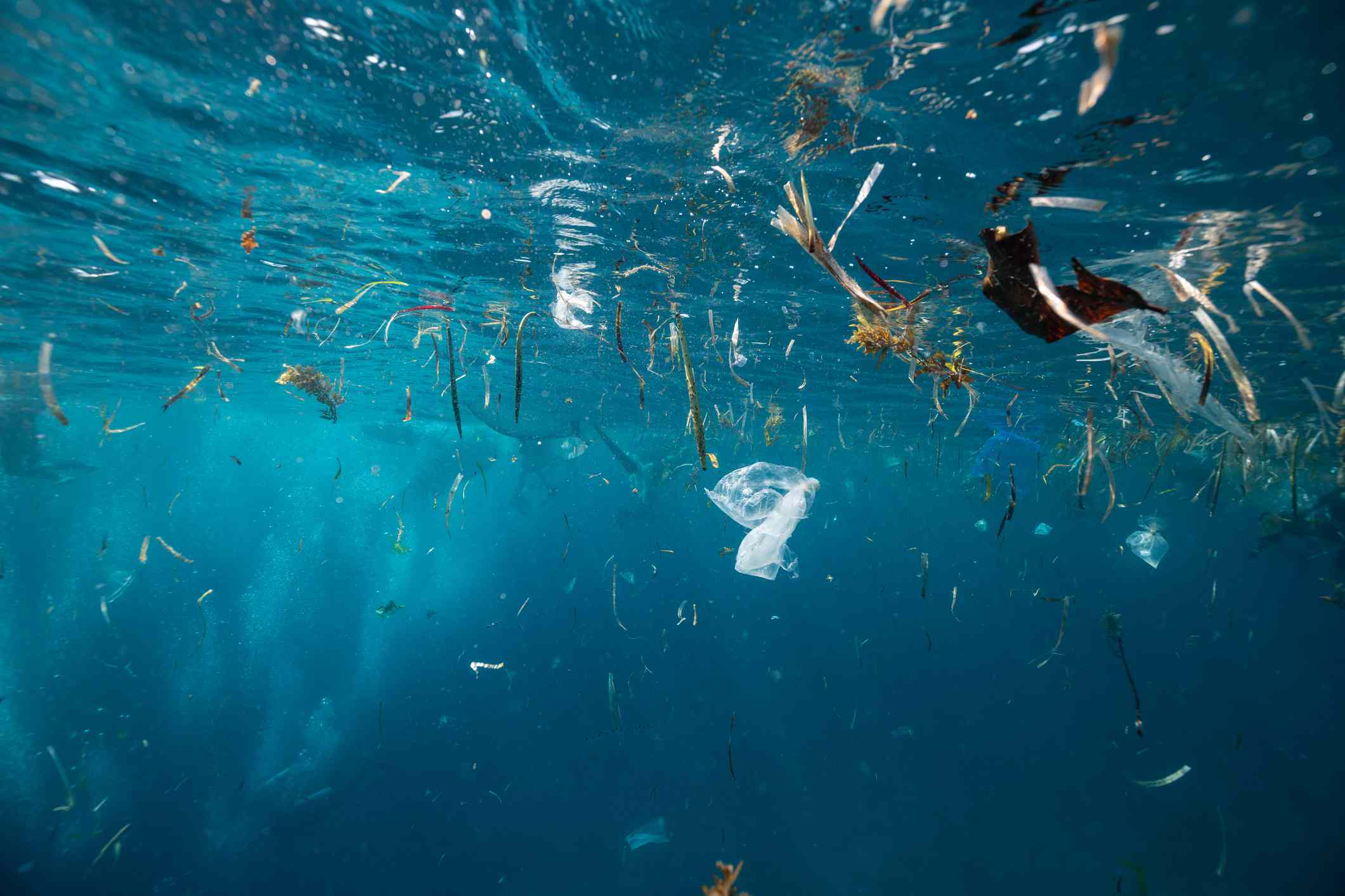 La basura de plástico está nadando en la superficie del agua rhe - foto de archivo