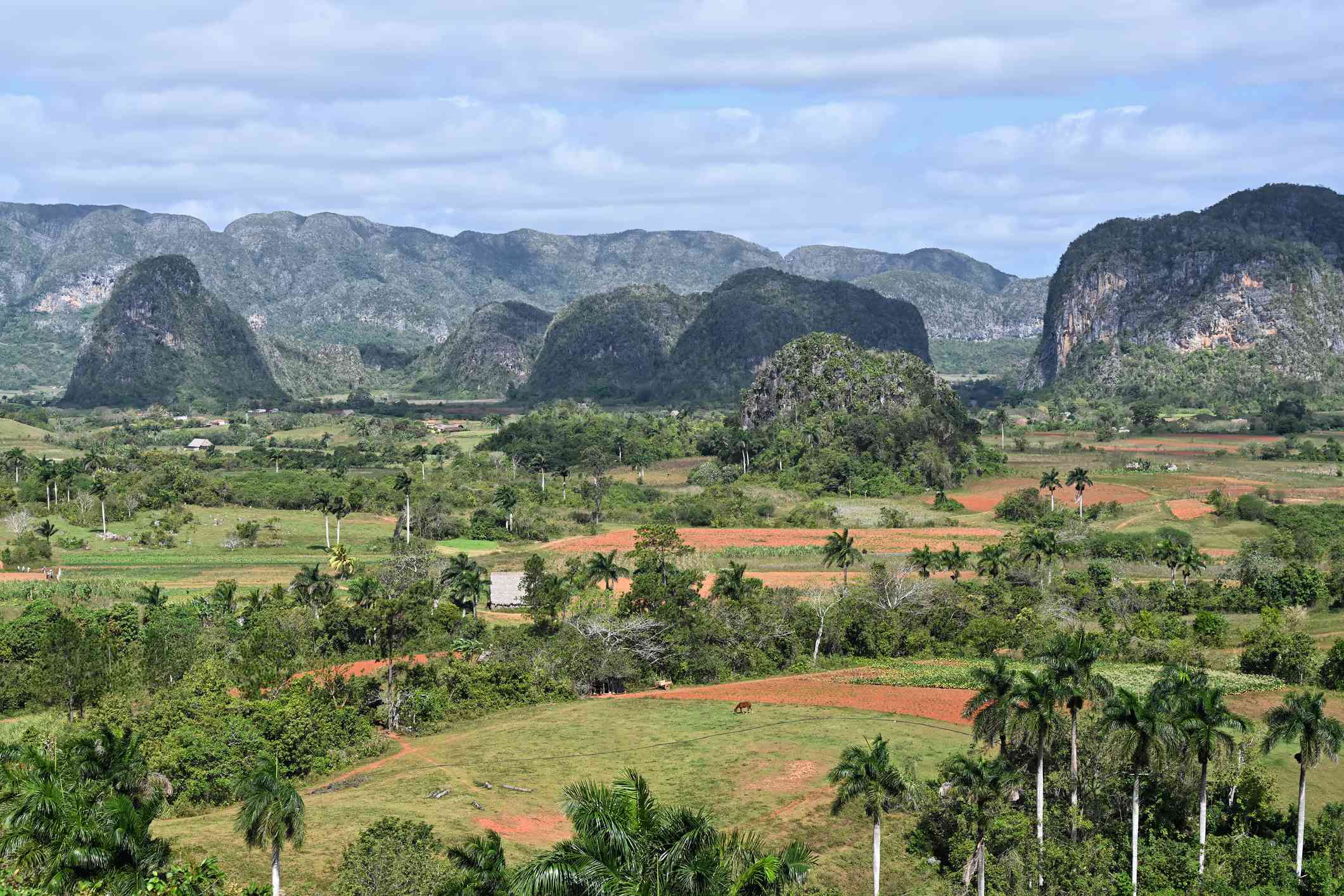 vista aérea del Parque Nacional del Valle de Vinales con un pintoresco paisaje kárstico rodeado de montañas, palmeras, cubierta vegetal y plantas, con afloramientos de piedra caliza y campos en la Sierra de los Órganos en Cuba
