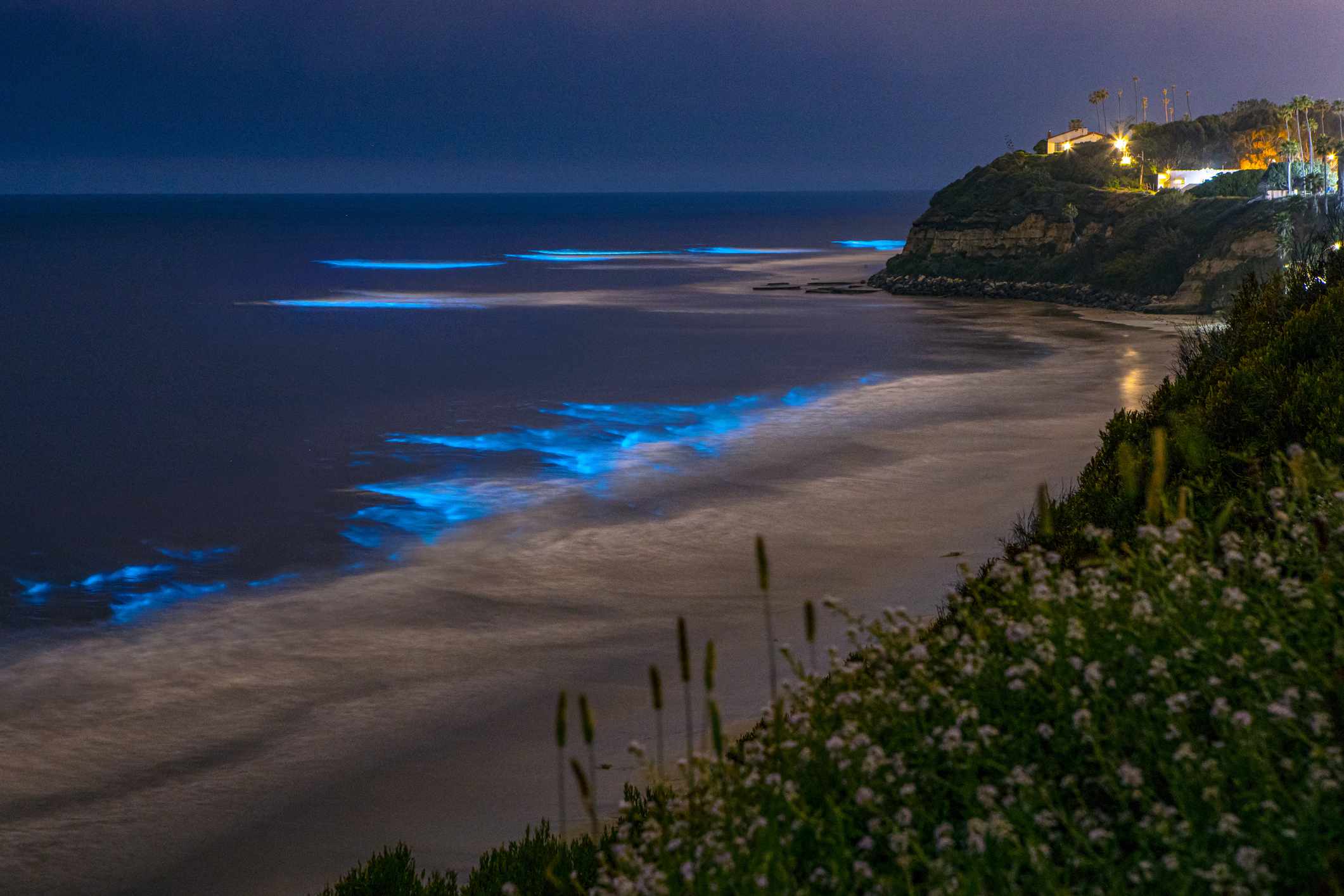 Bioluminiscencia en la playa de la costa de San Diego por la noche en la playa de Swamis en Encinitas, San Diego, California