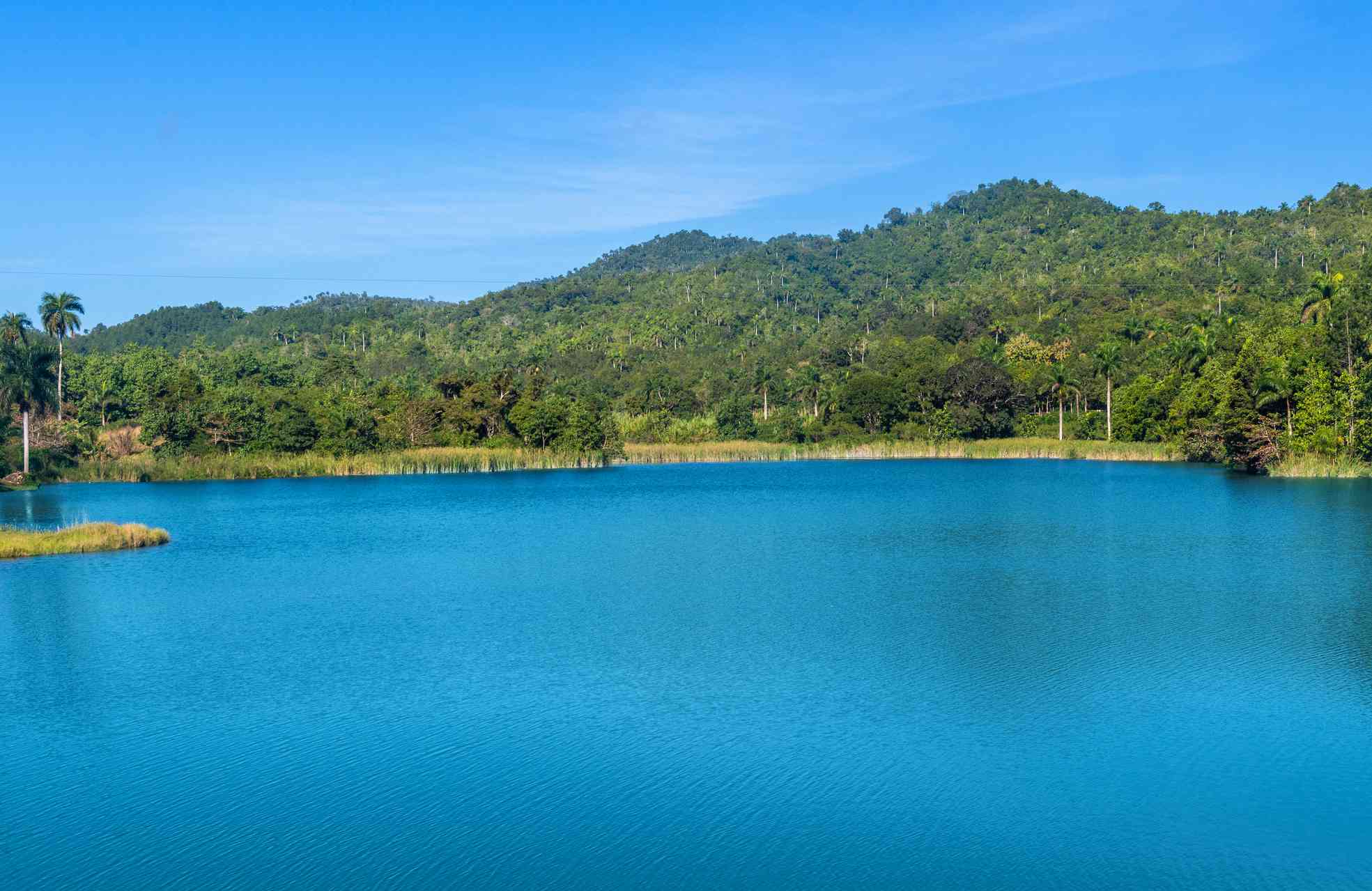 un extenso lago azul turquesa rodeado de frondosos bosques y montañas cubiertas de árboles bajo un cielo azul en Las Terrazas