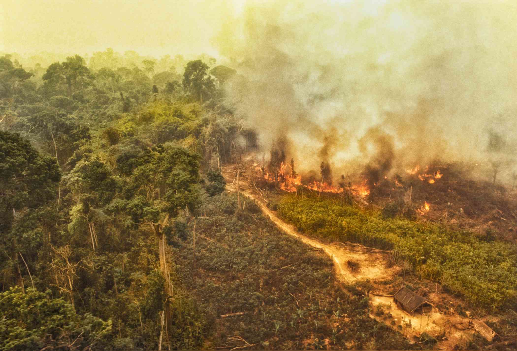Los incendios se propagan por una zona boscosa de Brasil