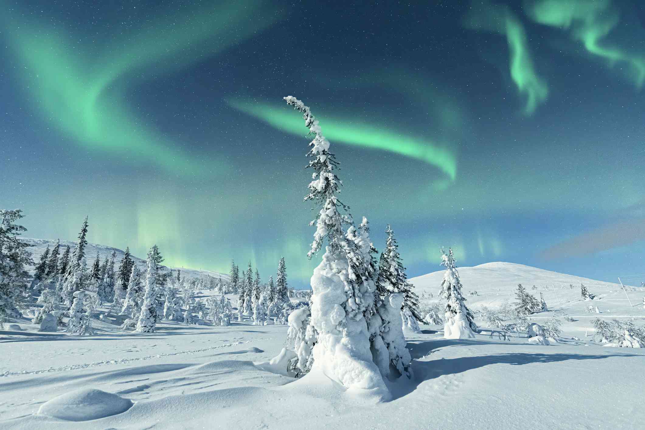 Aurora boreal verde en el cielo azul sobre árboles de hoja perenne cubiertos de nieve y un suelo nevado en Laponia, Finlandia