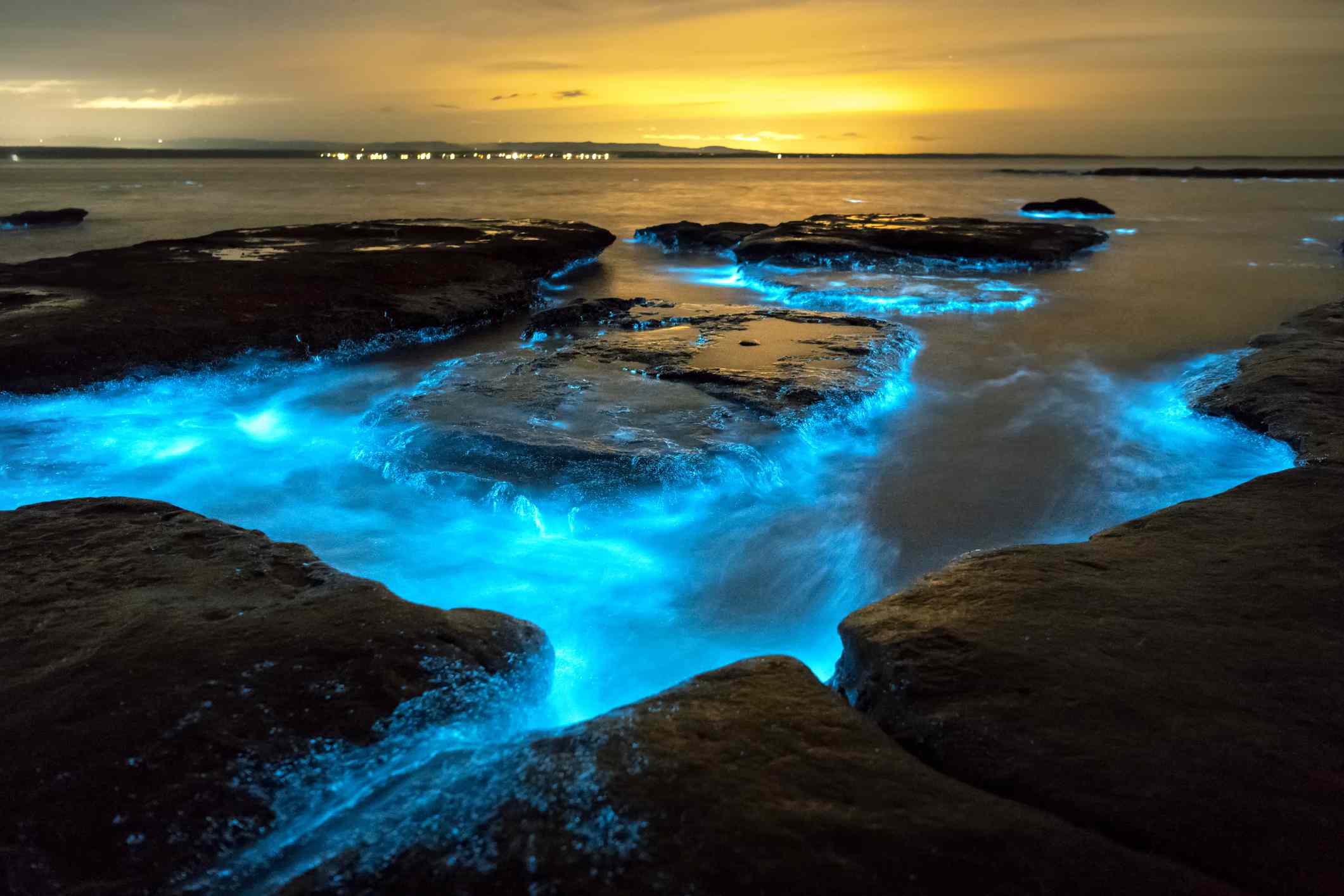 La bioluminiscencia ilumina la bahía de Jervis al atardecer