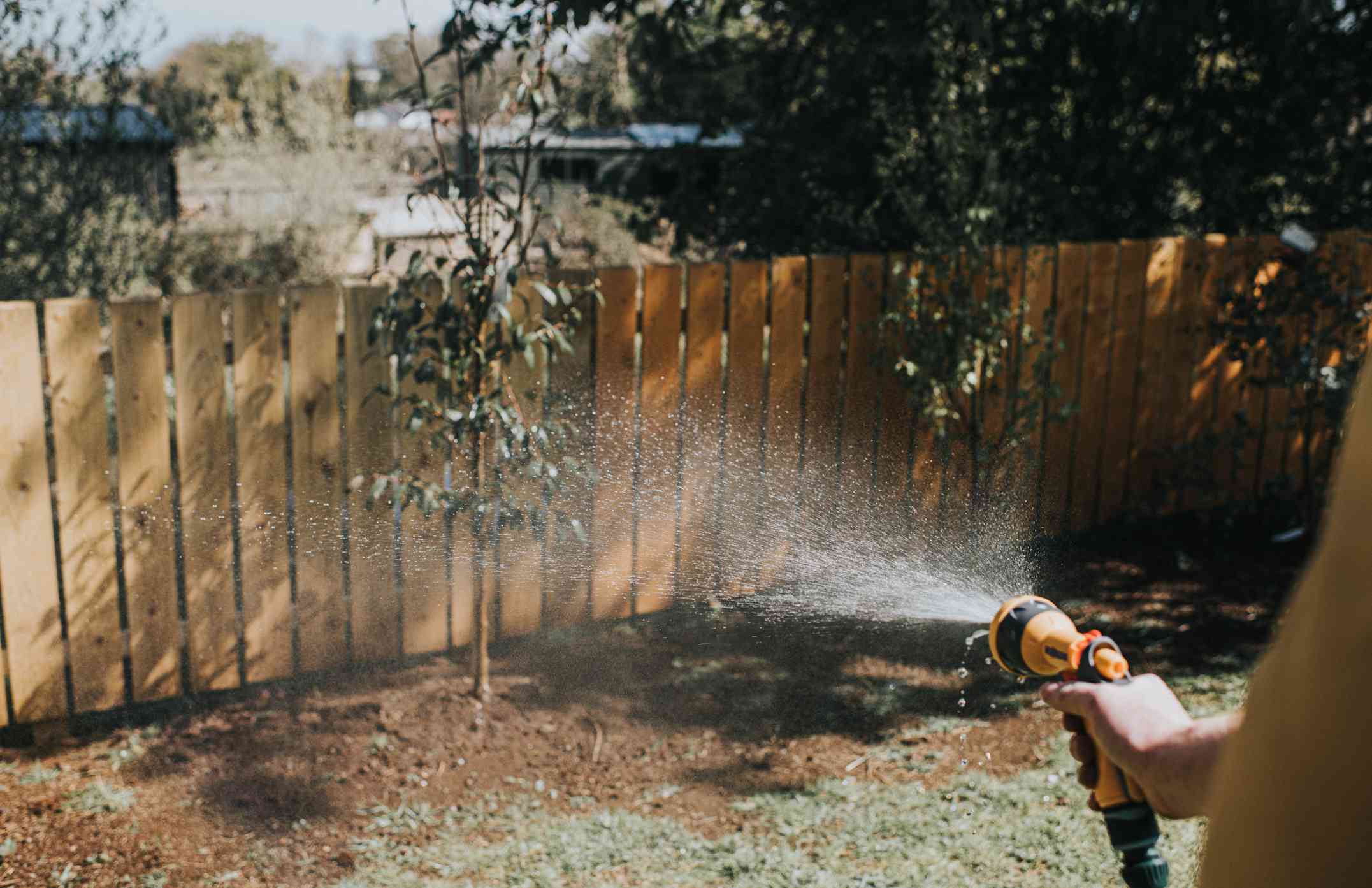 Una persona con una manguera regando un árbol pequeño en un patio