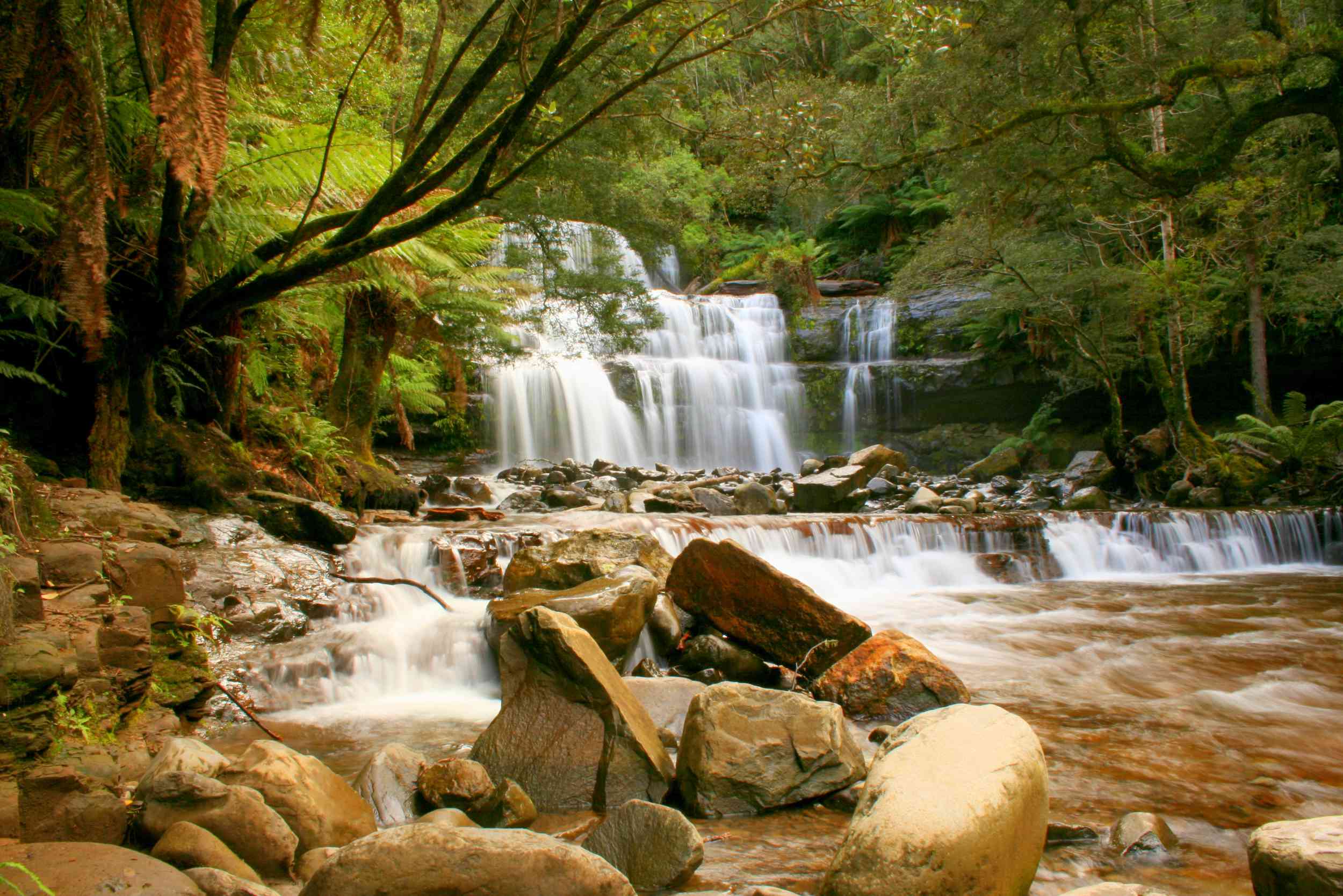 LIffey Falls, una cascada de tres niveles en Tasmania