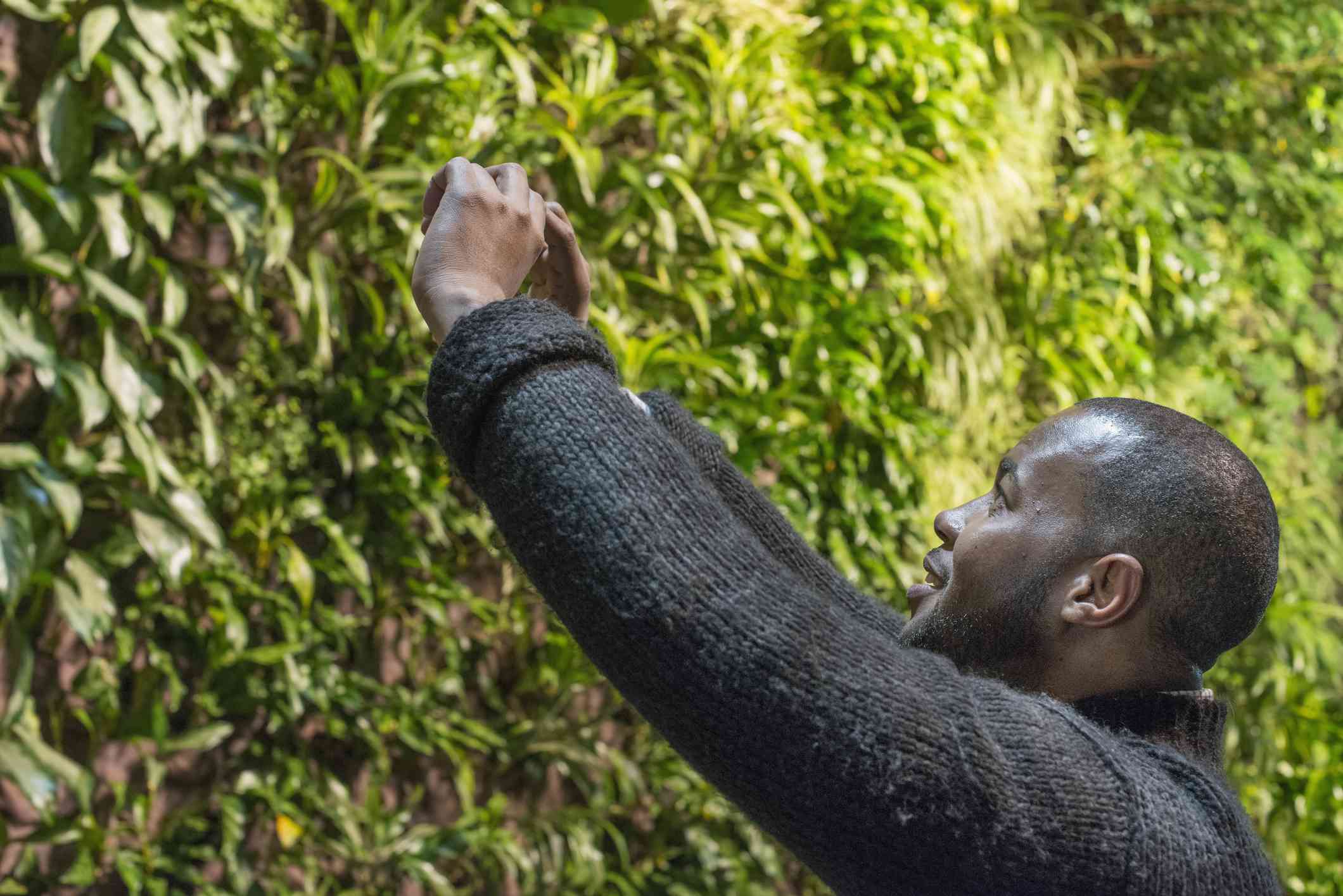 Un hombre negro hace una foto de plantas en una pared