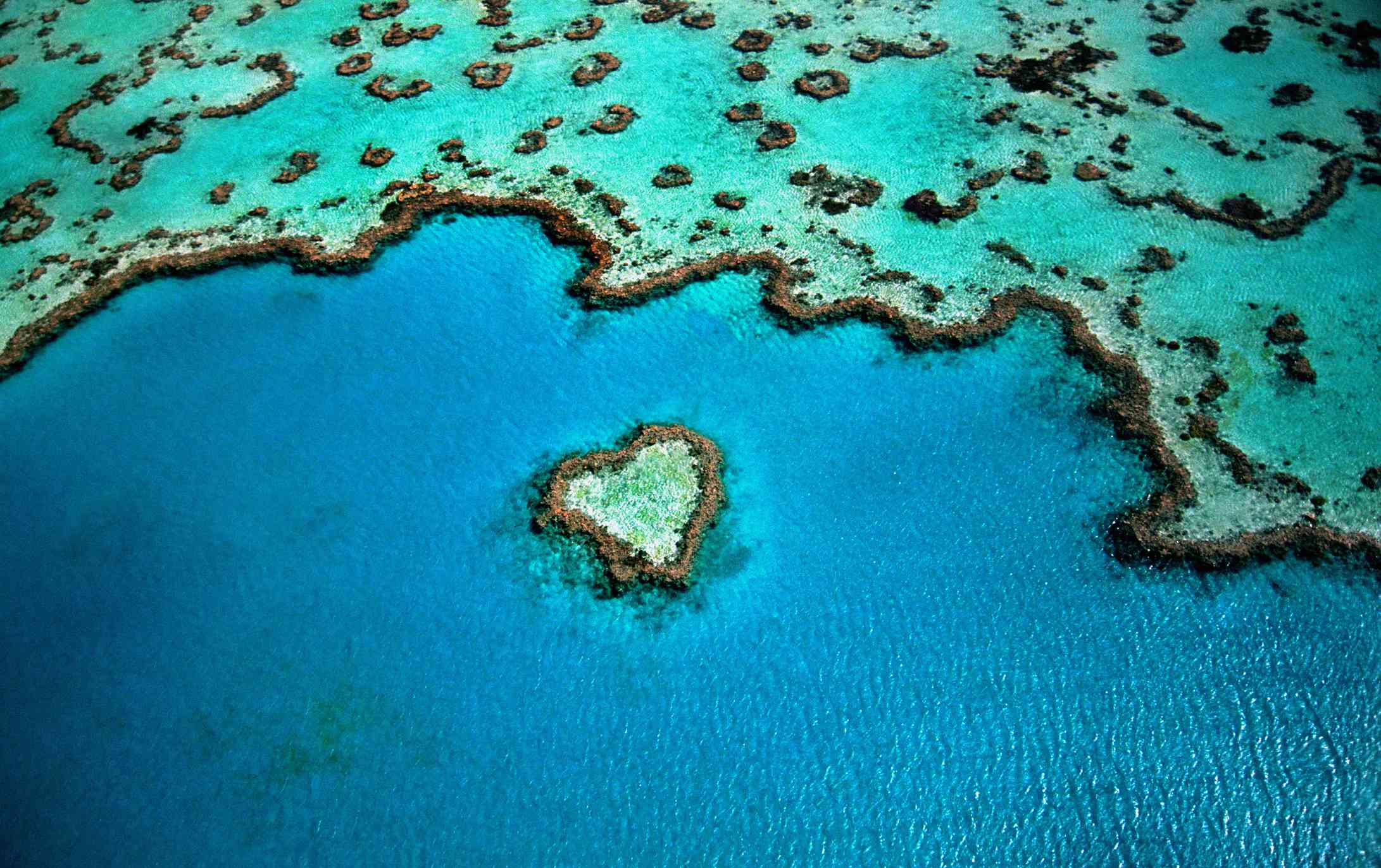 Australia, Gran Barrera de Coral, arrecife en forma de corazón, vista aérea