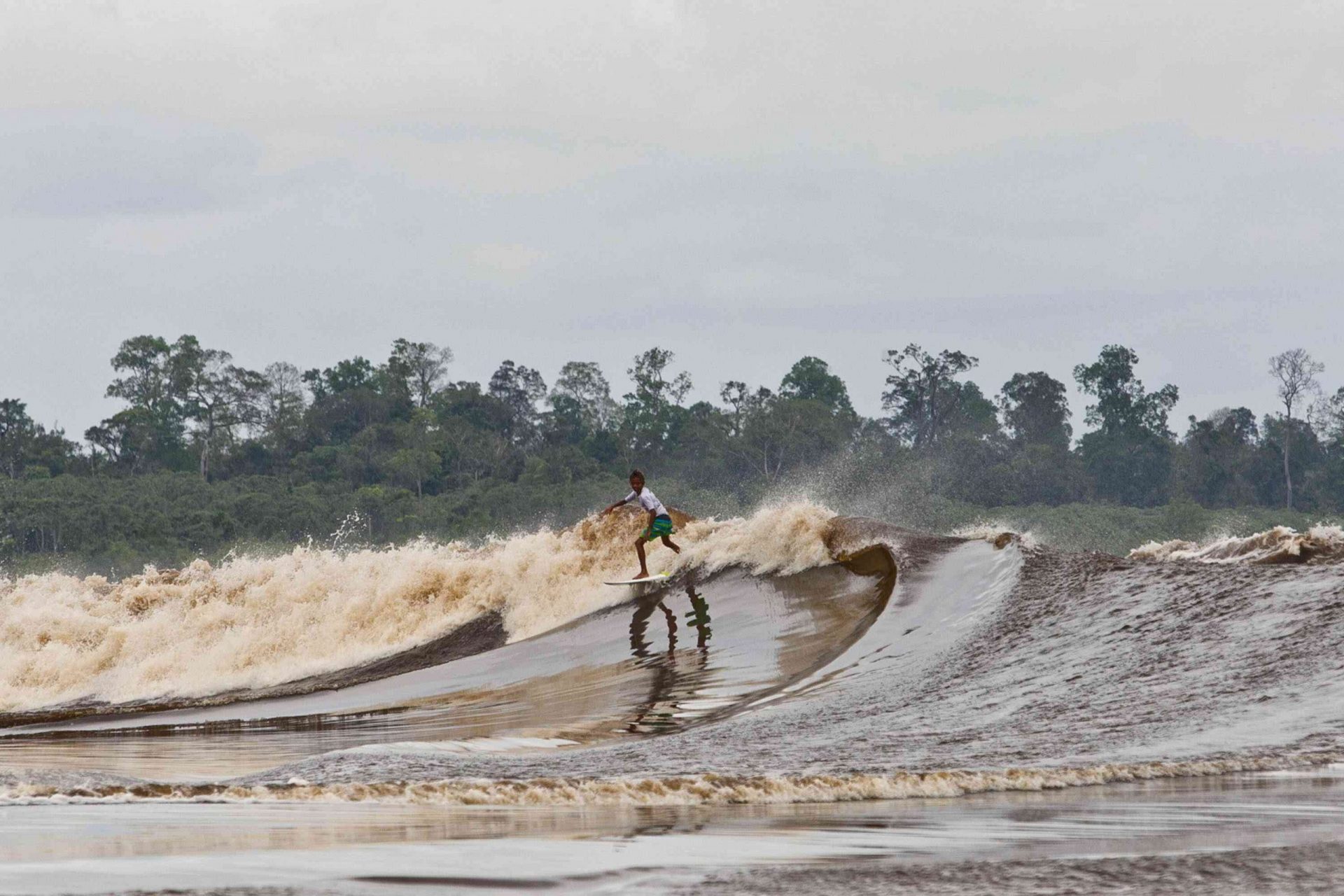 Surfista montando la ola de marea 'Bono' del río Kampar con un bosque de árboles altos y verdes al fondo y un cielo nublado encima