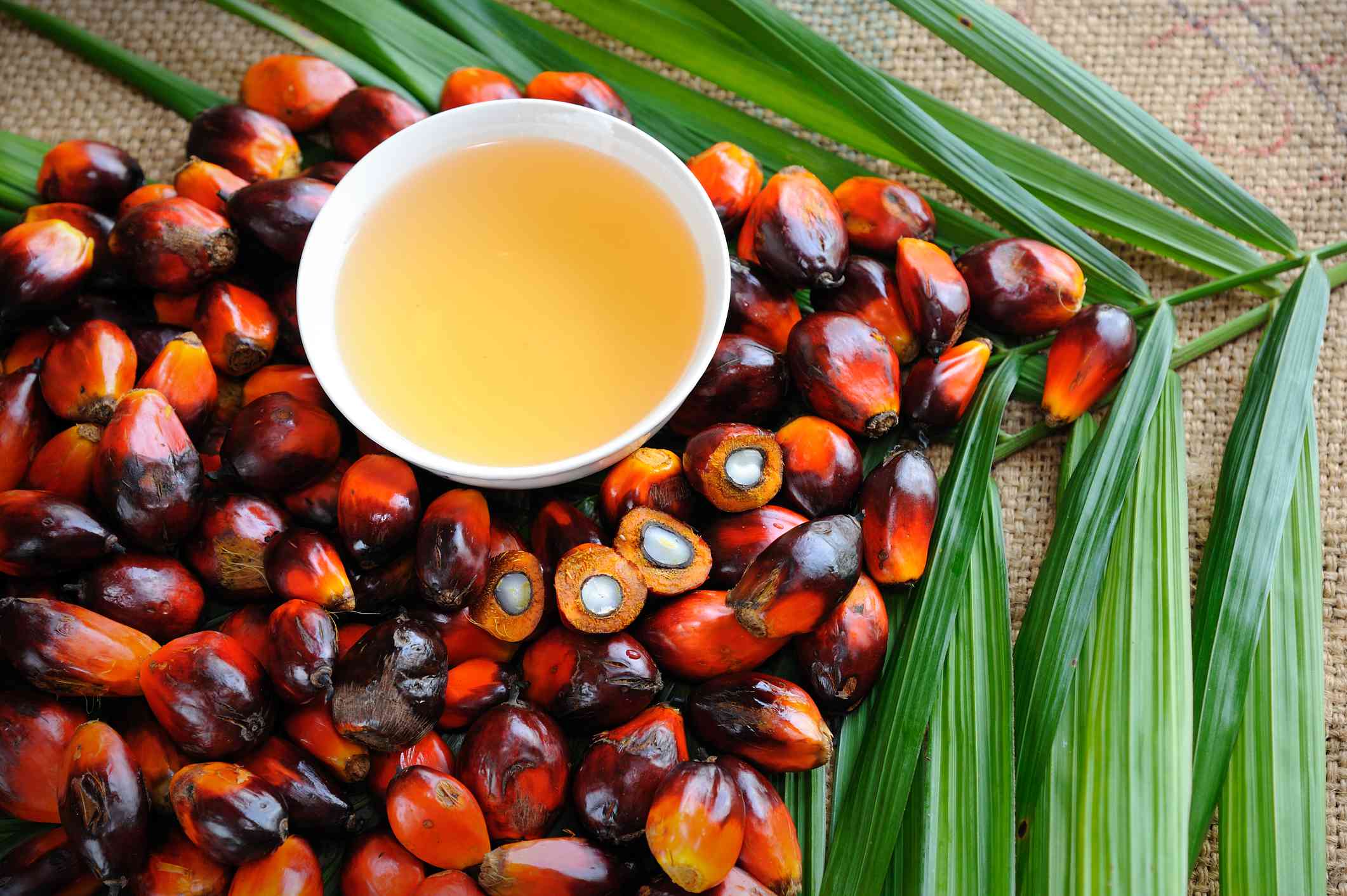 Frutas de palma aceitera con un pequeño cuenco de aceite de cocina