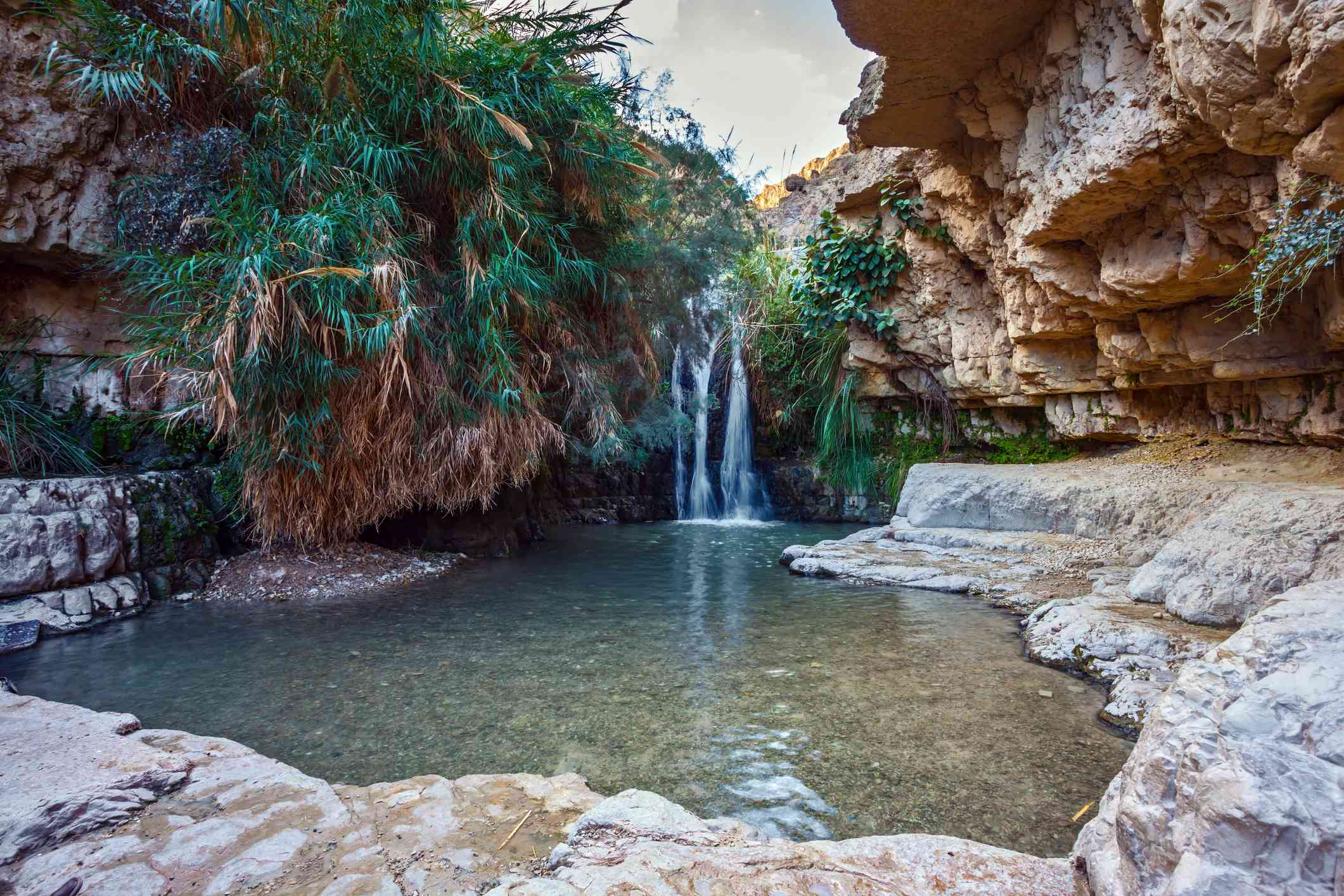 estanque con agua clara y una cascada rodeada de formaciones rocosas y palmeras situado en el parque nacional de Ein Gedi, Israel